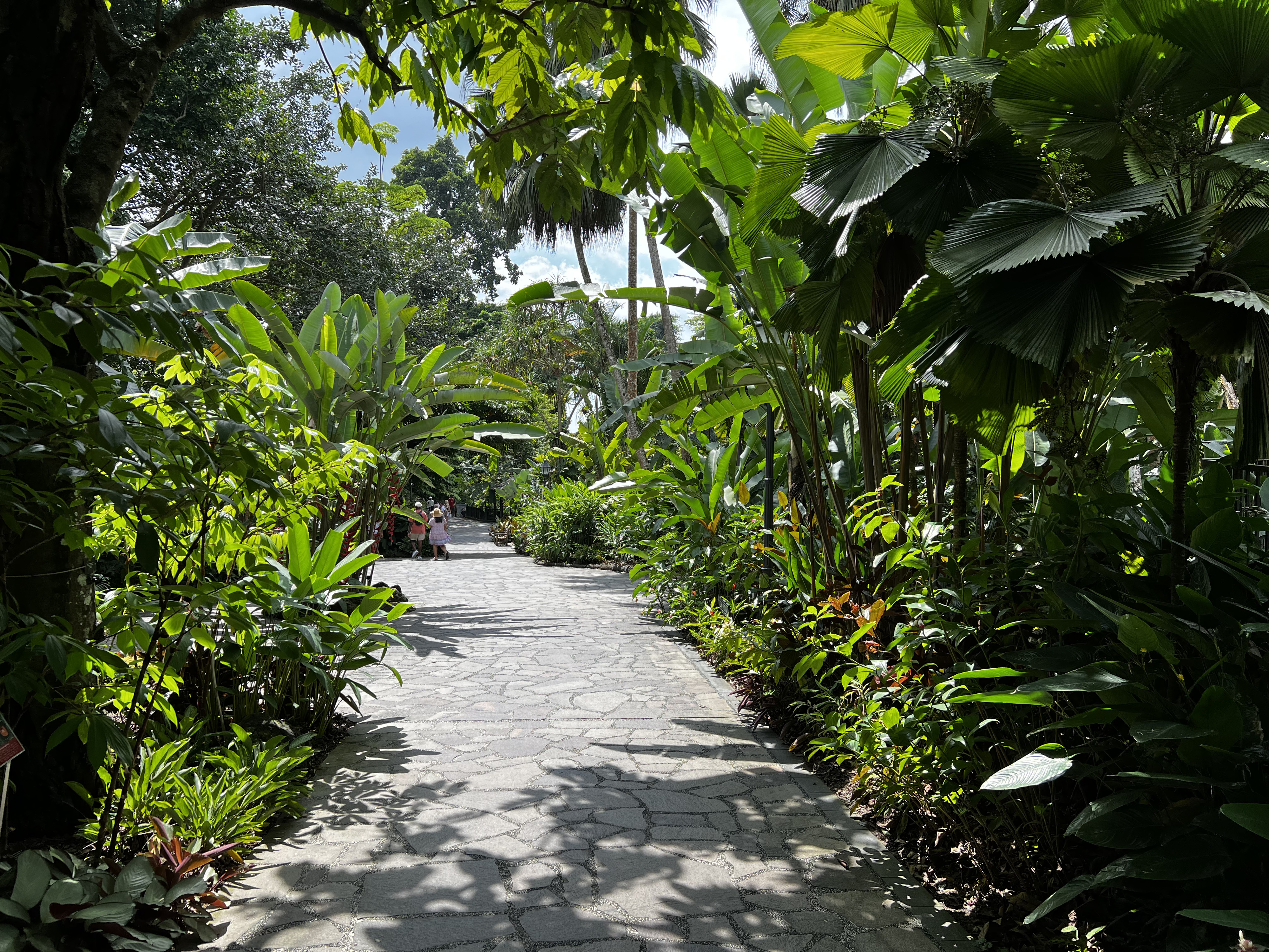 Picture Singapore Singapore Botanic Gardens 2023-01 81 - History Singapore Botanic Gardens