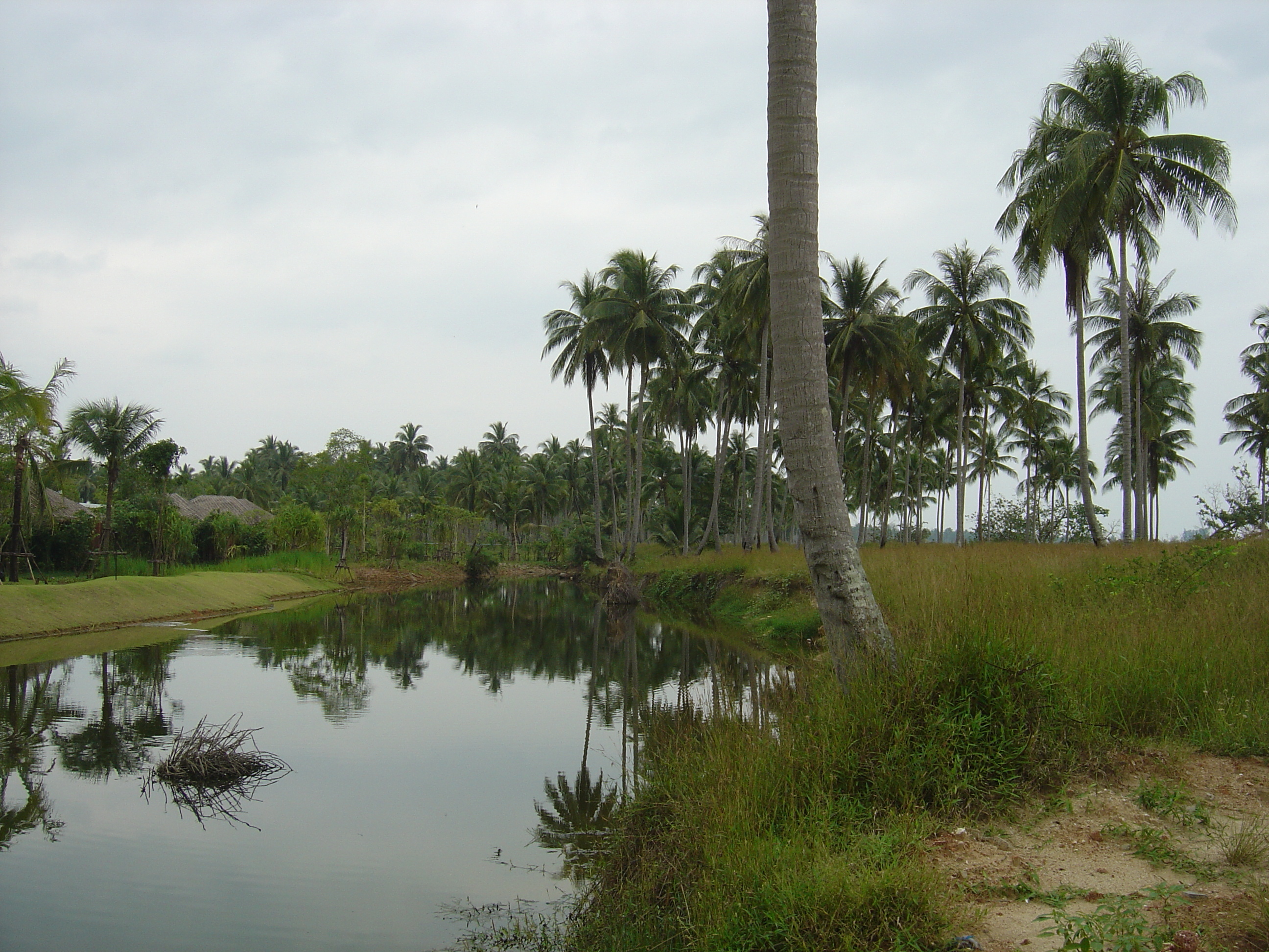 Picture Thailand Khao Lak Bang Sak Beach 2005-12 65 - History Bang Sak Beach