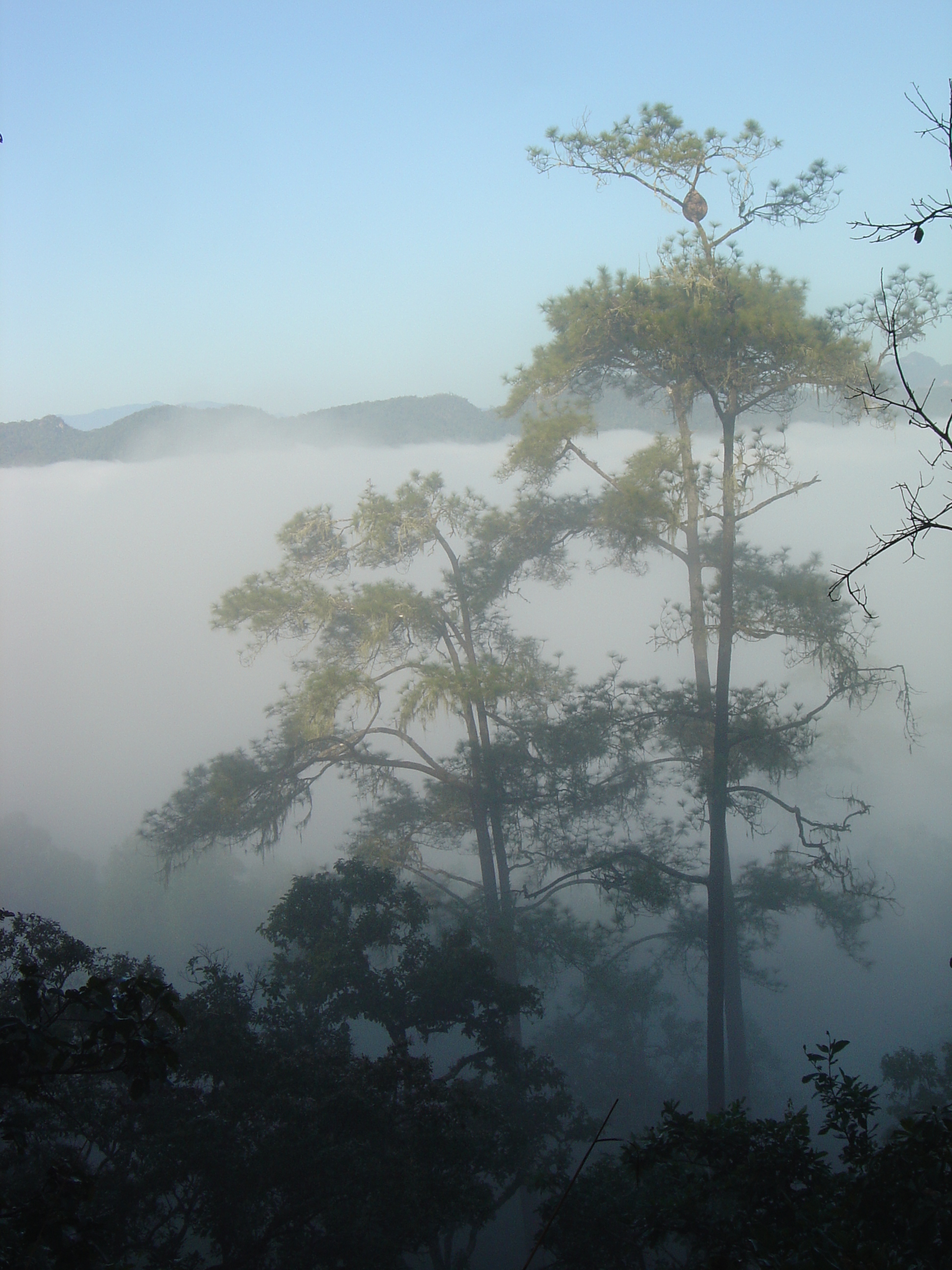 Picture Thailand Pang ma pha 2005-12 34 - Center Pang ma pha