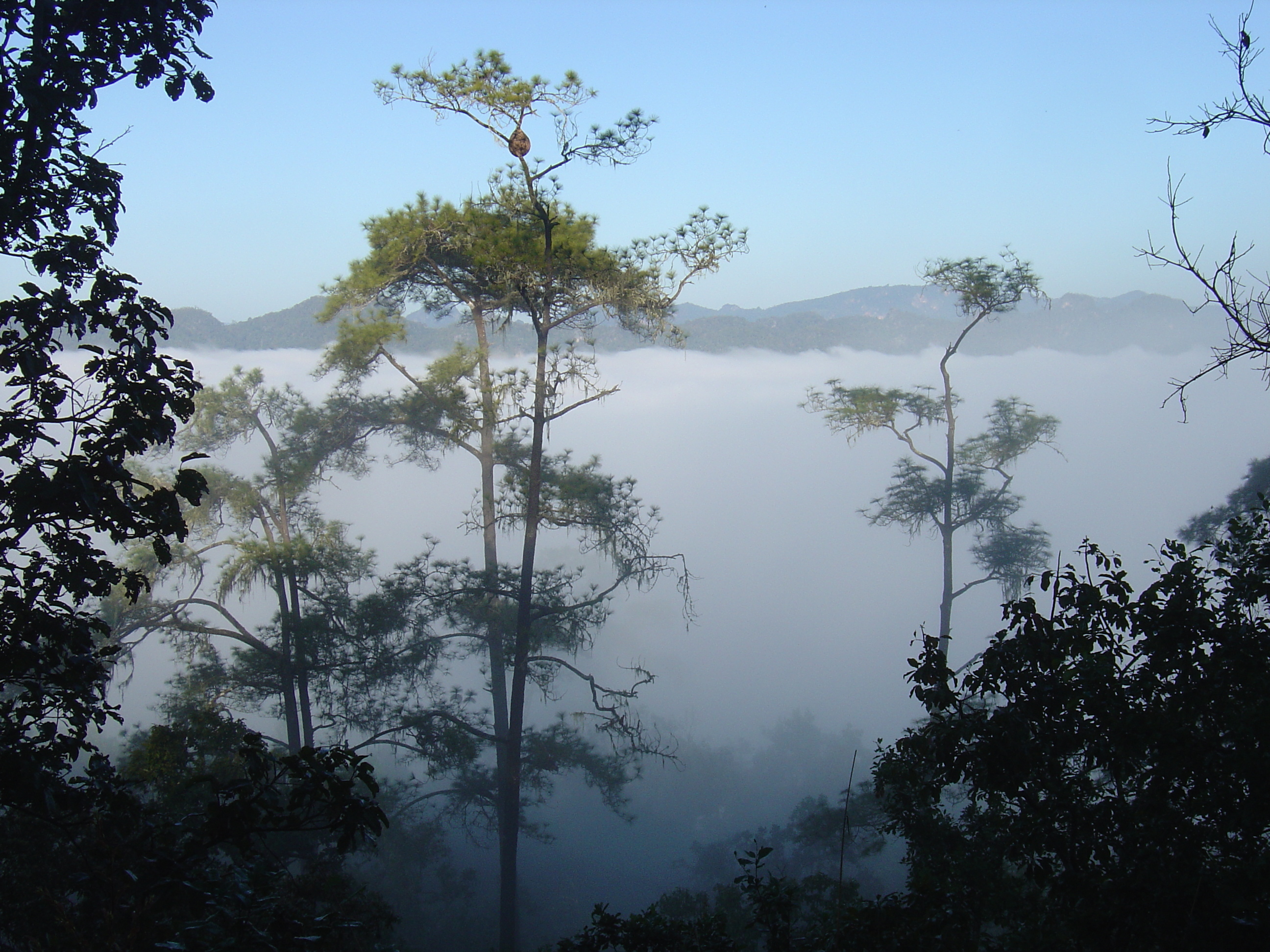 Picture Thailand Pang ma pha 2005-12 35 - Around Pang ma pha