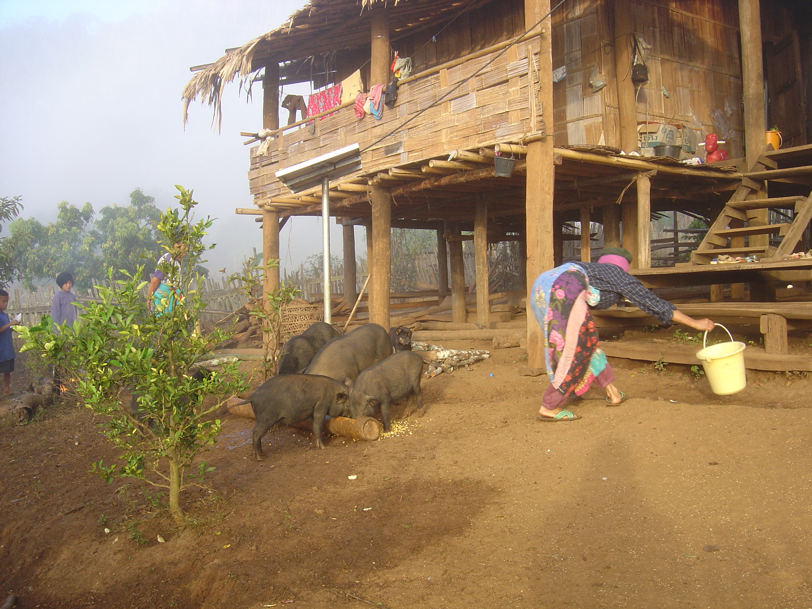 Picture Thailand Pang ma pha 2005-12 192 - Tour Pang ma pha