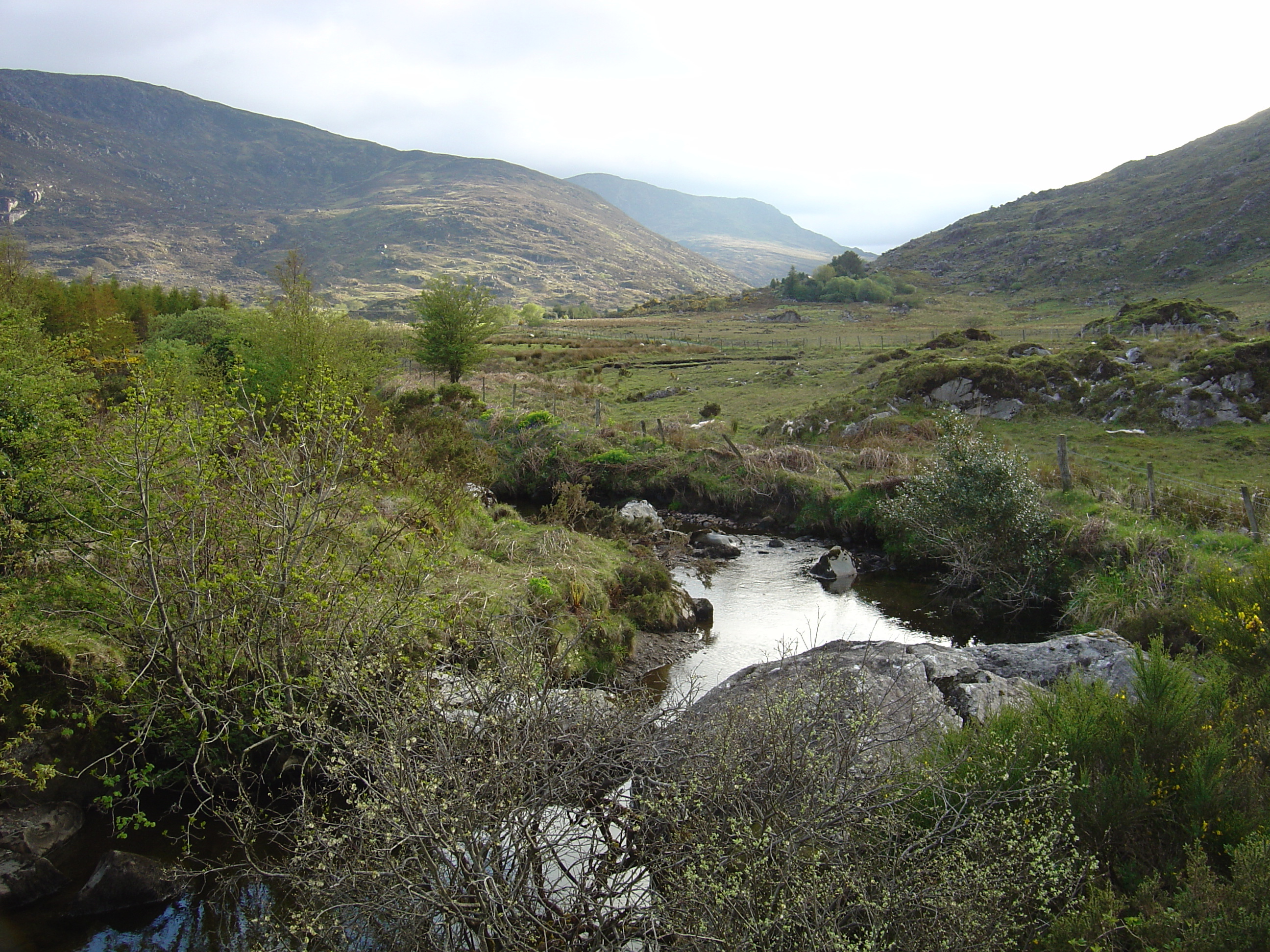 Picture Ireland Kerry Killarney National Park 2004-05 31 - Around Killarney National Park