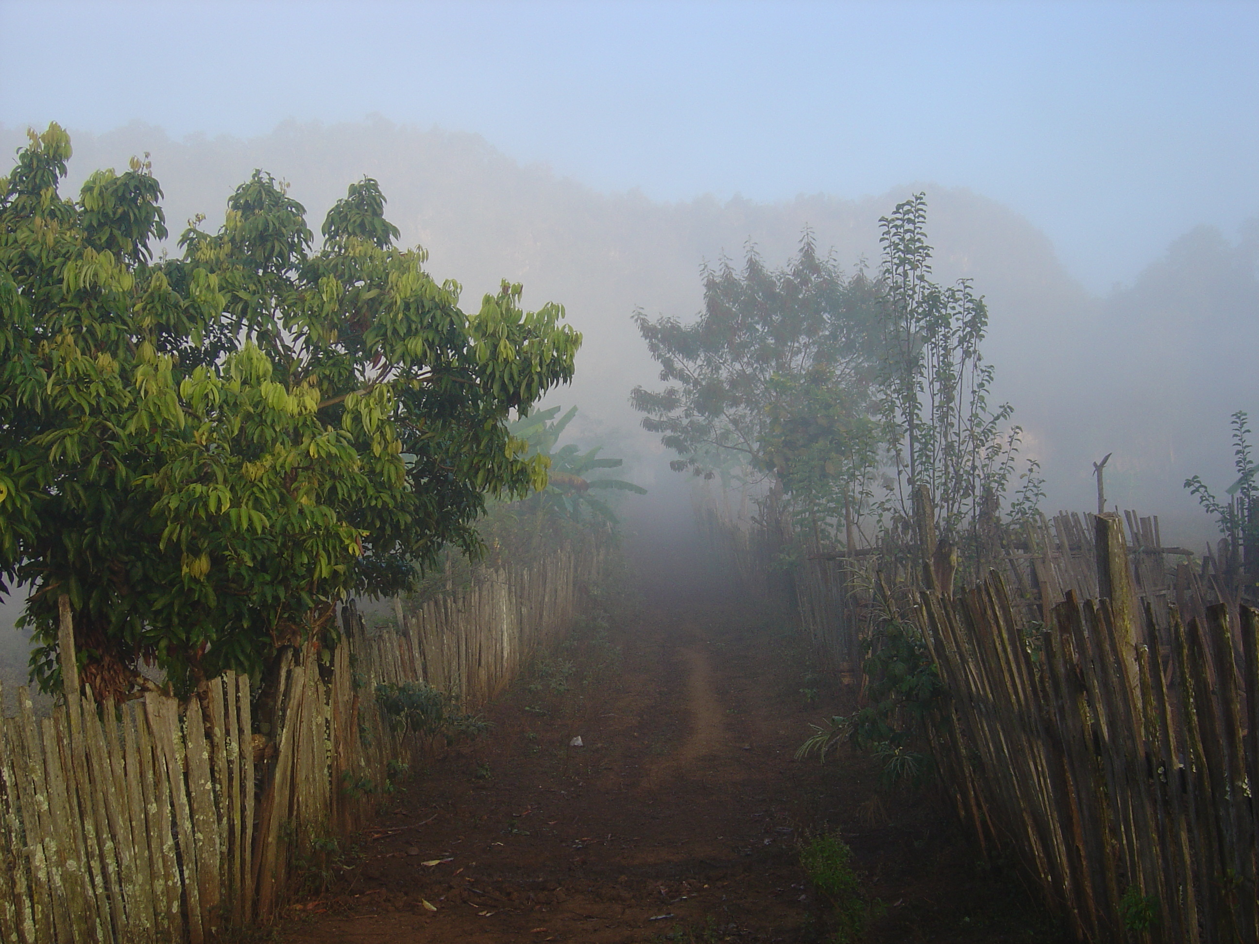 Picture Thailand Pang ma pha 2005-12 204 - Tours Pang ma pha