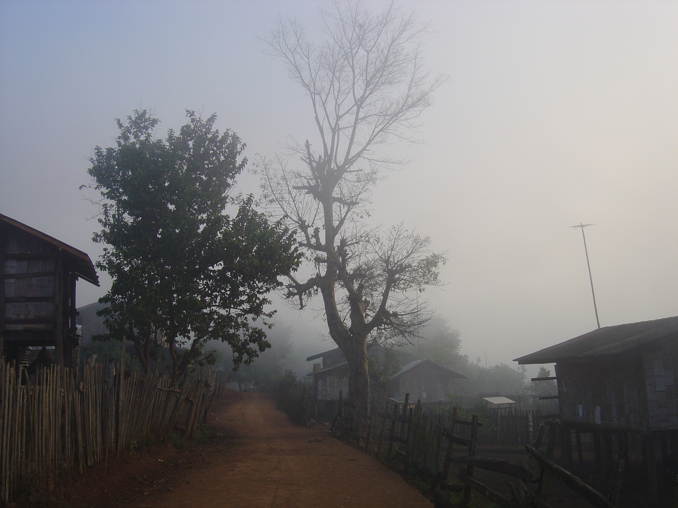 Picture Thailand Pang ma pha 2005-12 220 - Around Pang ma pha