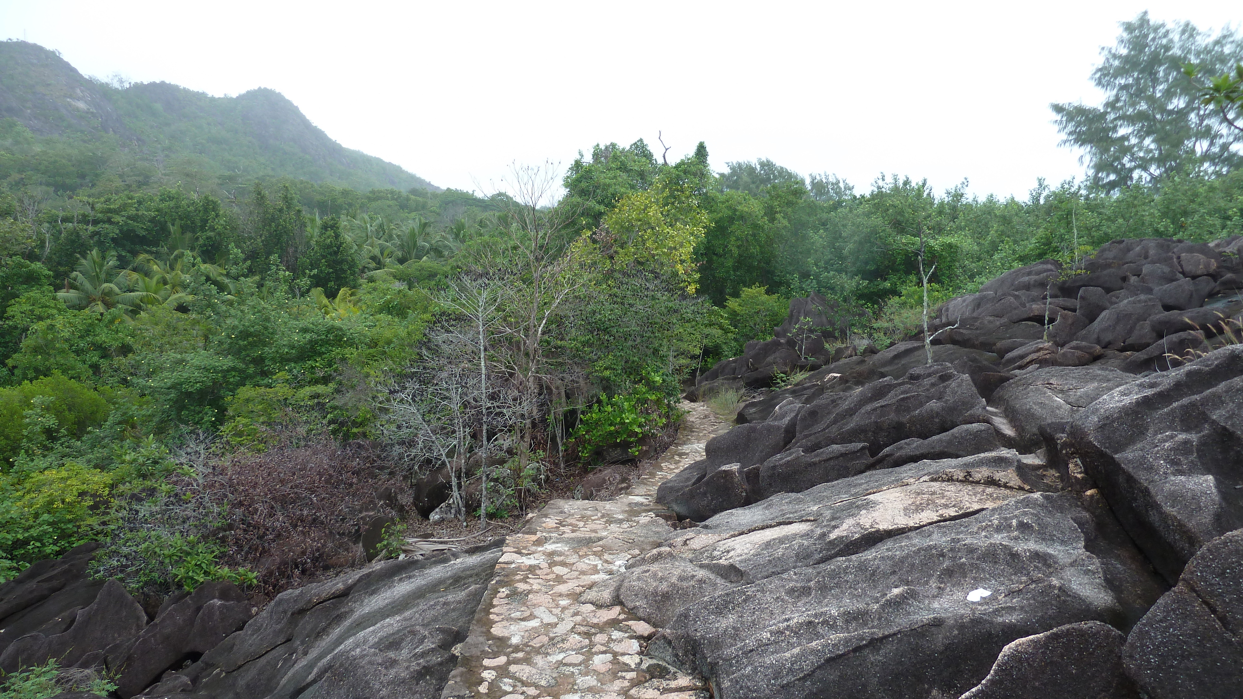 Picture Seychelles Curieuse 2011-10 22 - Center Curieuse