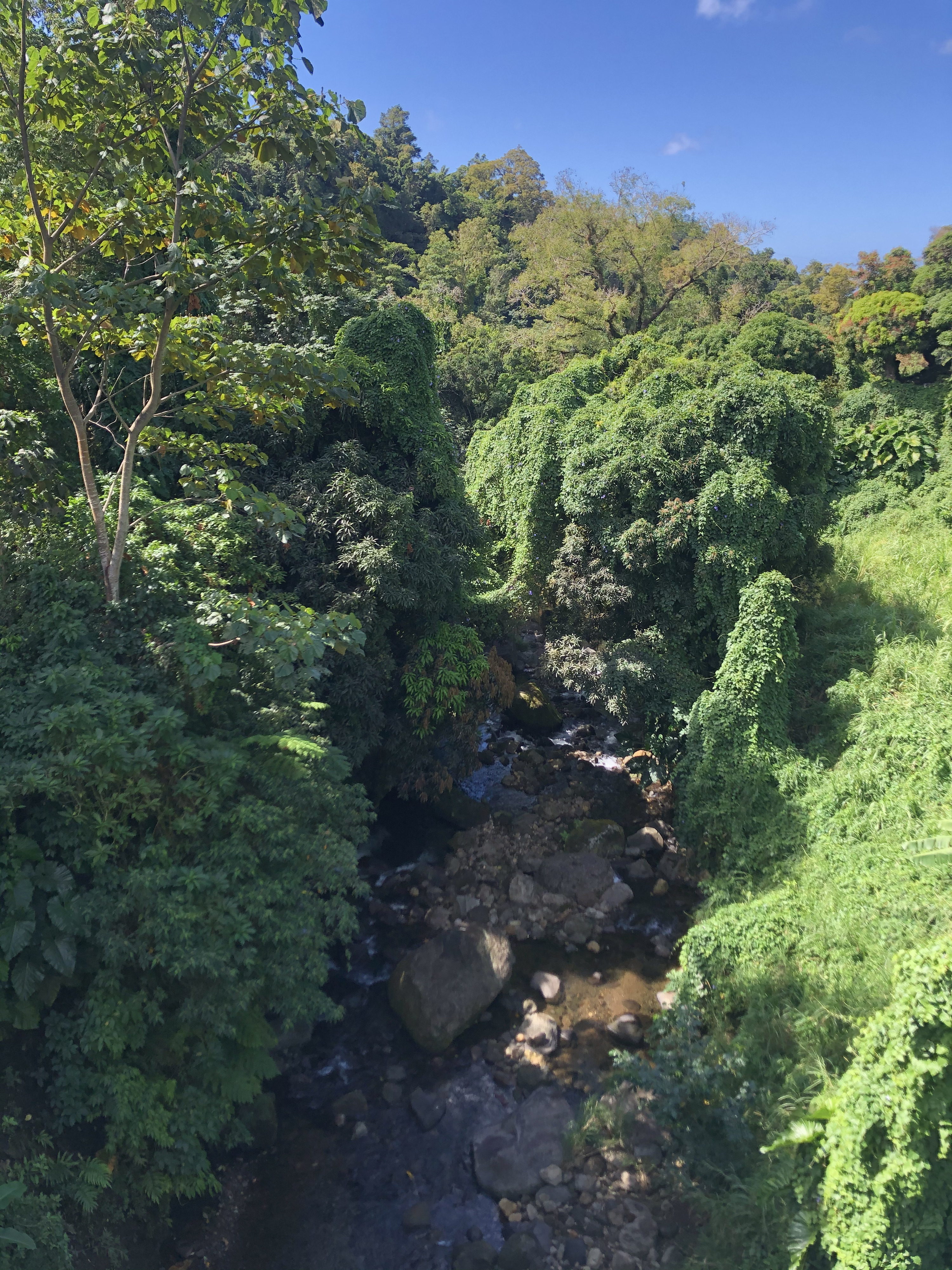 Picture Guadeloupe La Grande Soufriere 2021-02 31 - Tour La Grande Soufriere