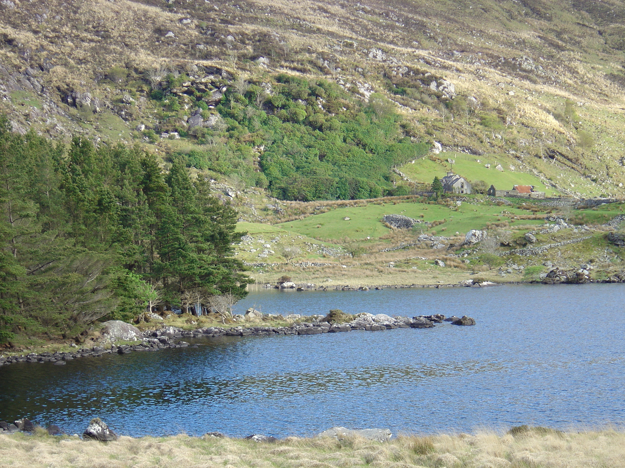 Picture Ireland Kerry Killarney National Park 2004-05 38 - Discovery Killarney National Park