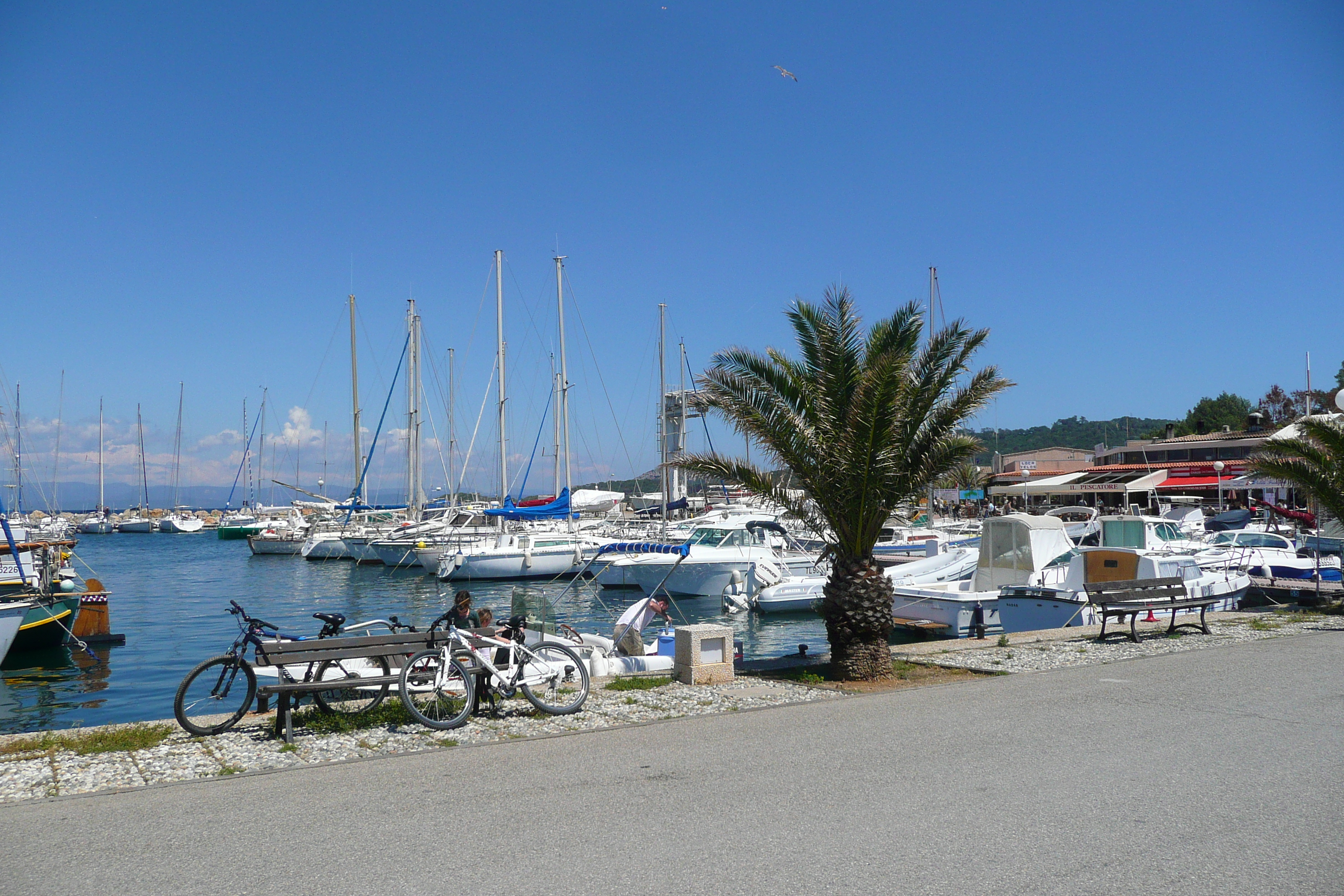 Picture France Porquerolles Island Porquerolles harbour 2008-05 11 - Center Porquerolles harbour