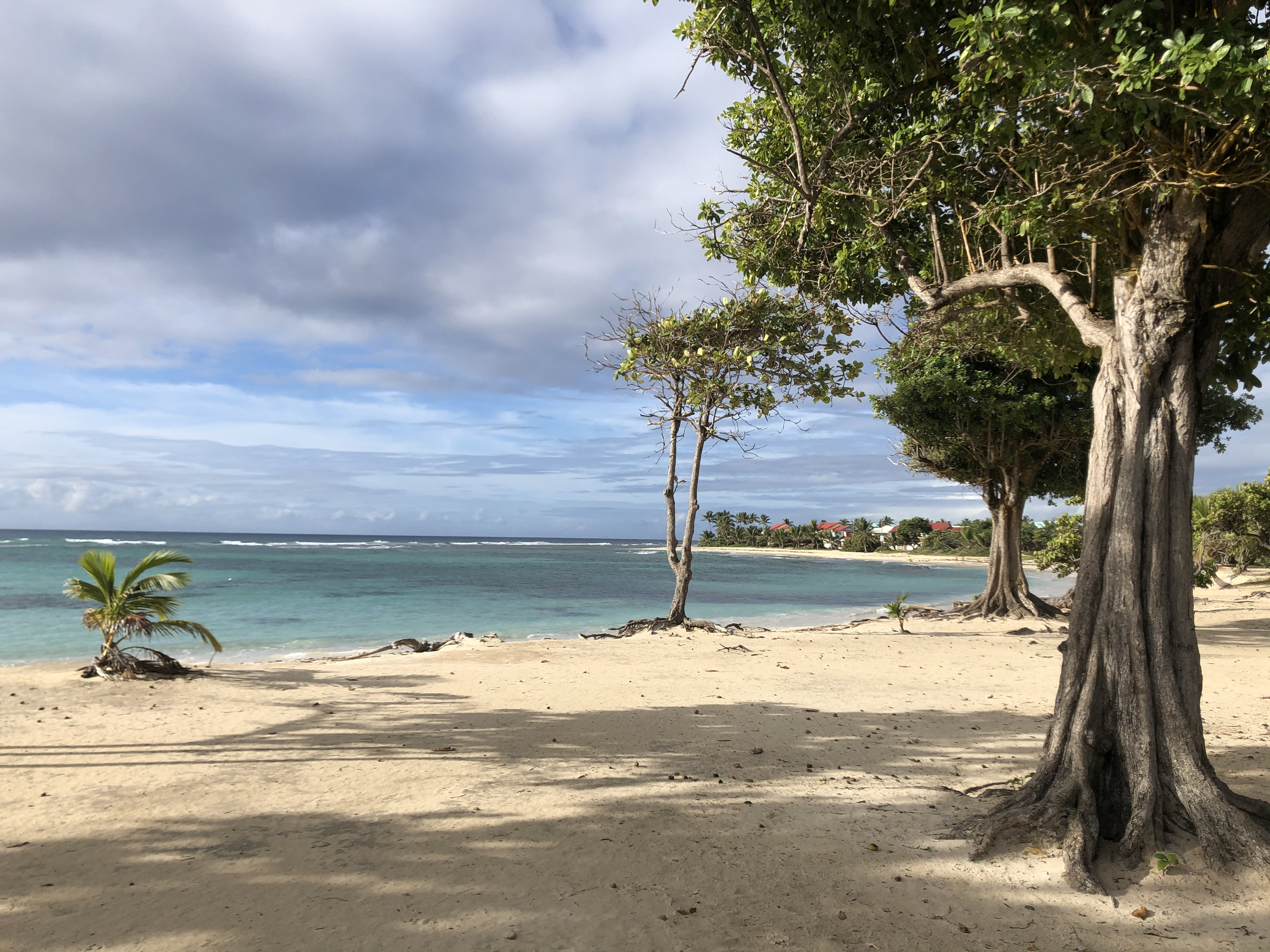 Picture Guadeloupe Saint Francois 2021-02 9 - Around Saint Francois