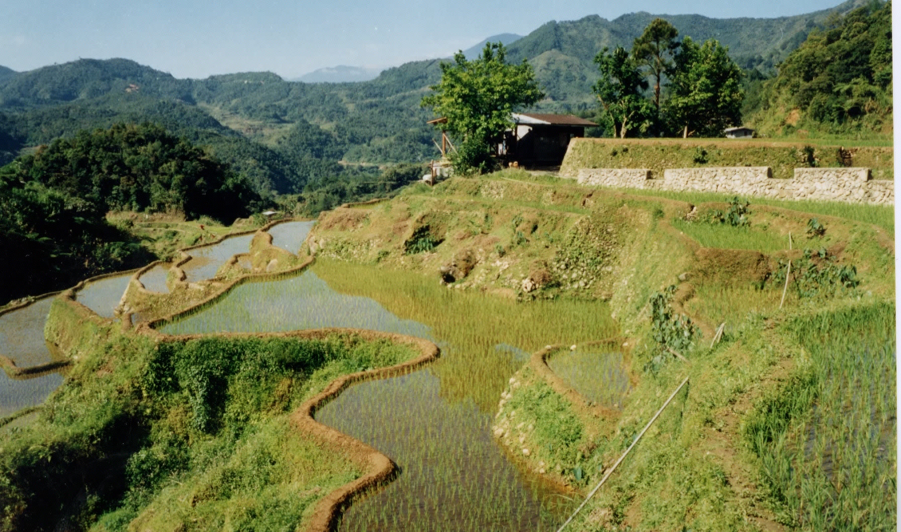 Picture Philippines Banaue 1997-03 7 - Center Banaue