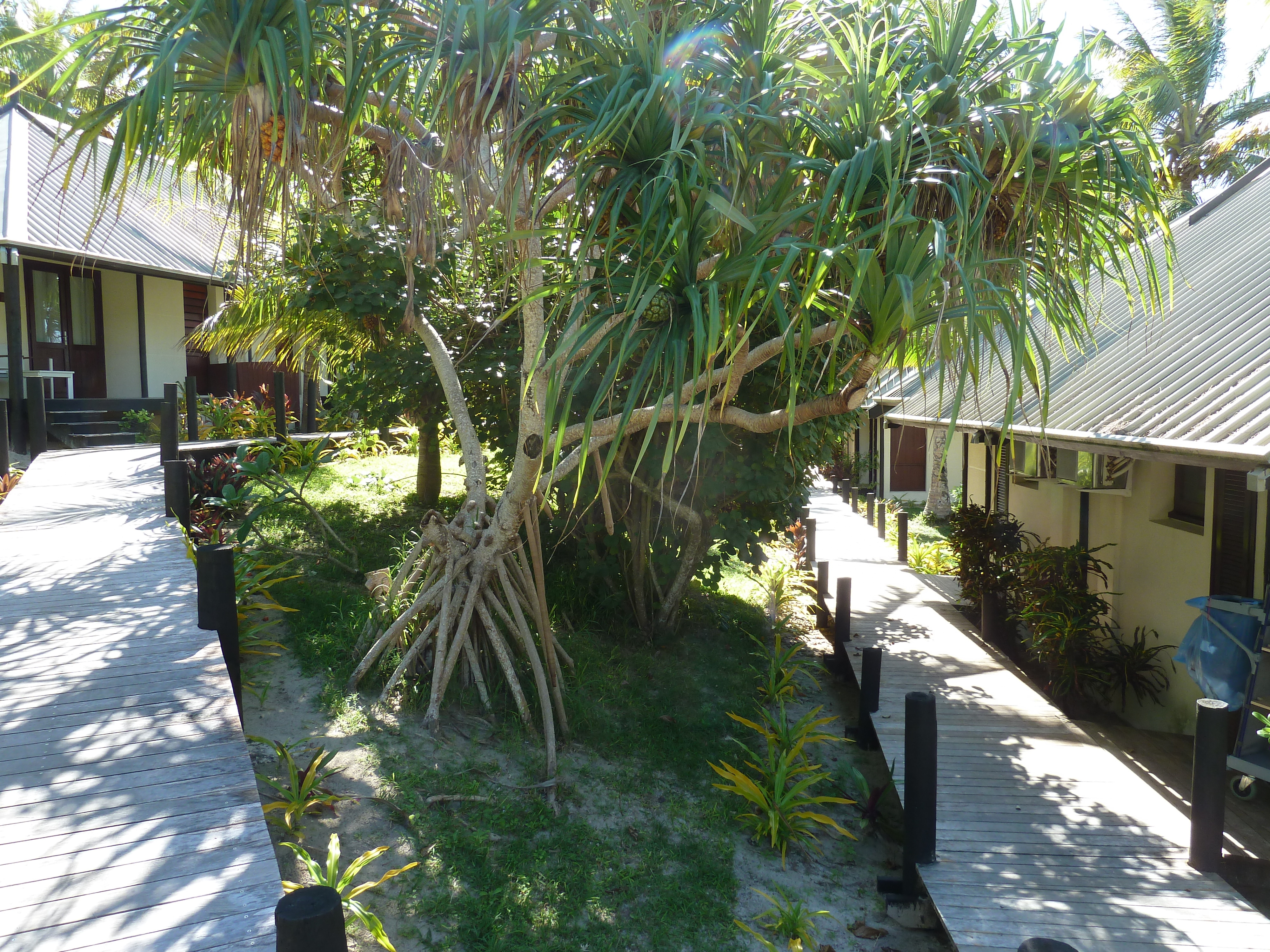 Picture New Caledonia Lifou Drehu Village Hotel 2010-05 17 - Center Drehu Village Hotel