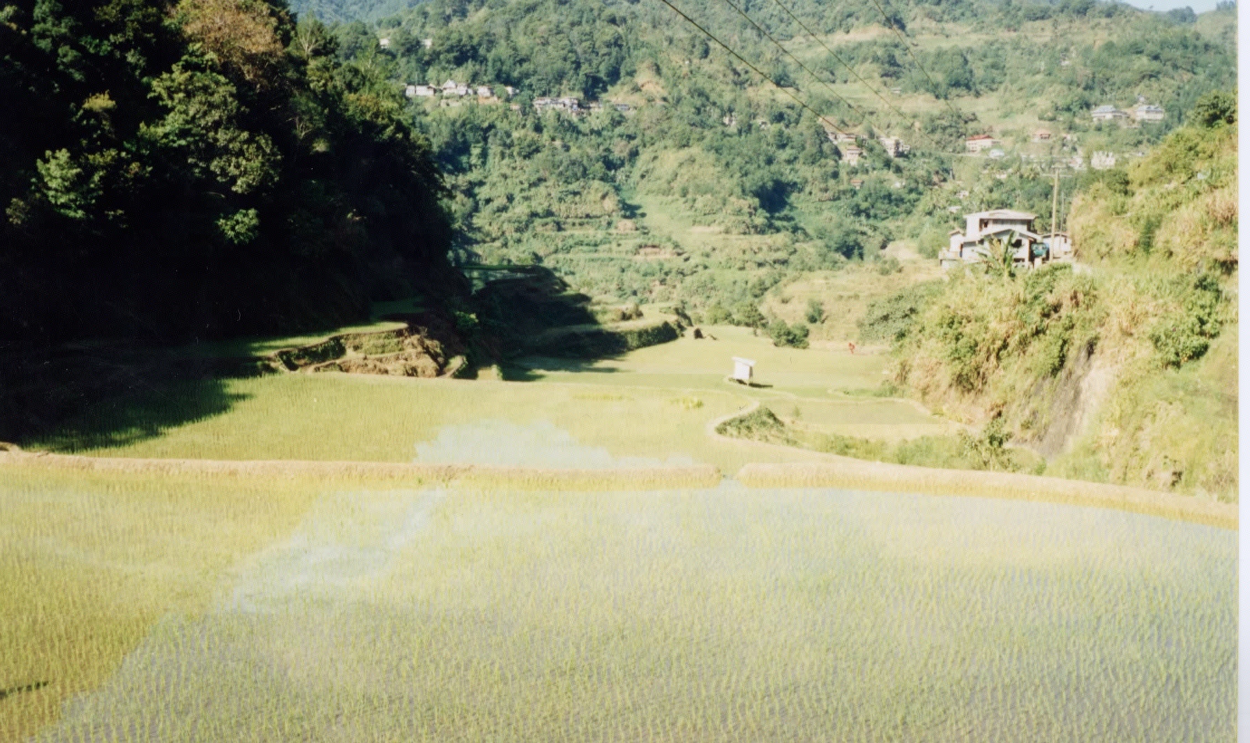 Picture Philippines Banaue 1997-03 2 - Center Banaue