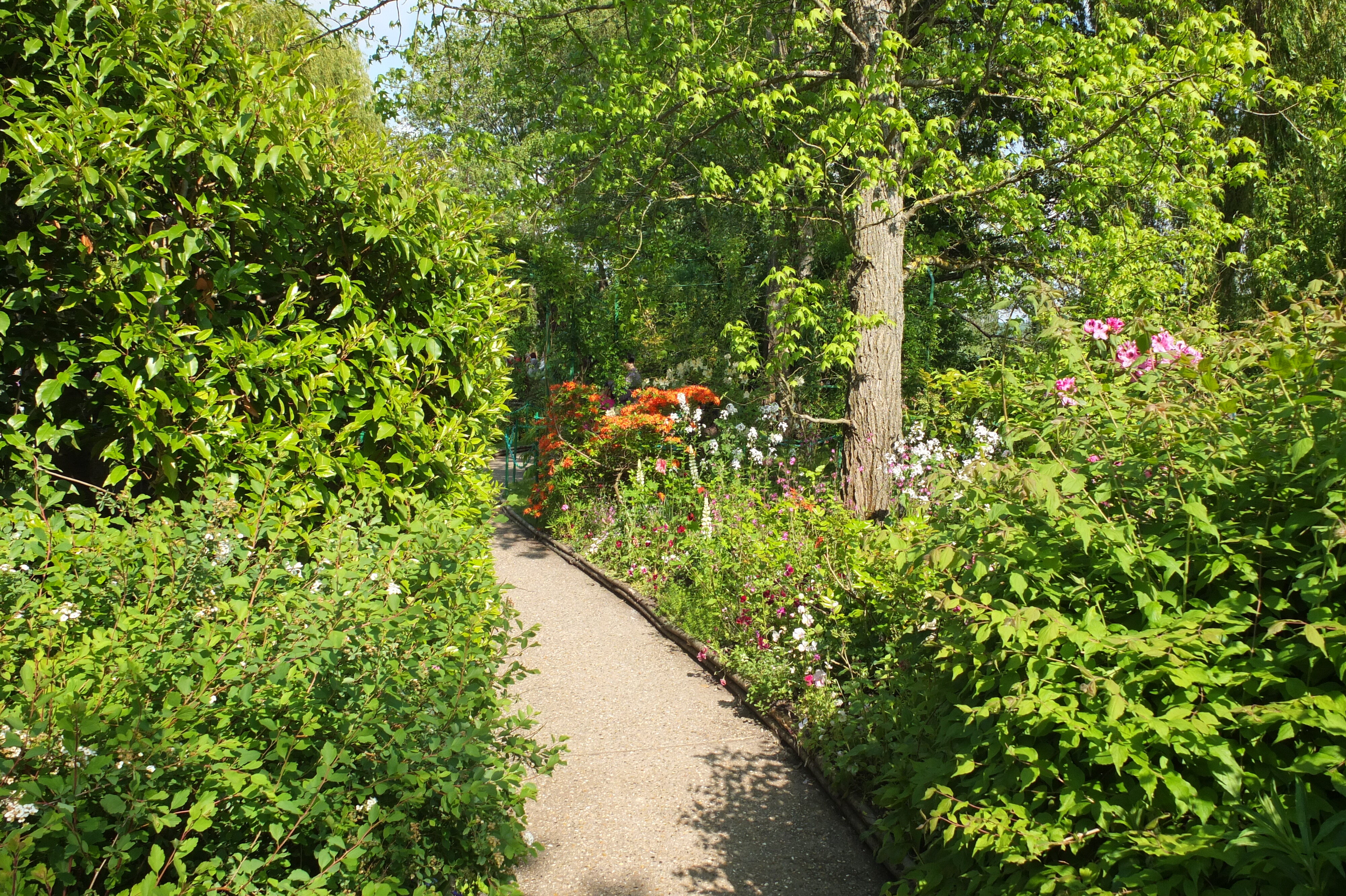 Picture France Giverny 2013-06 112 - Discovery Giverny