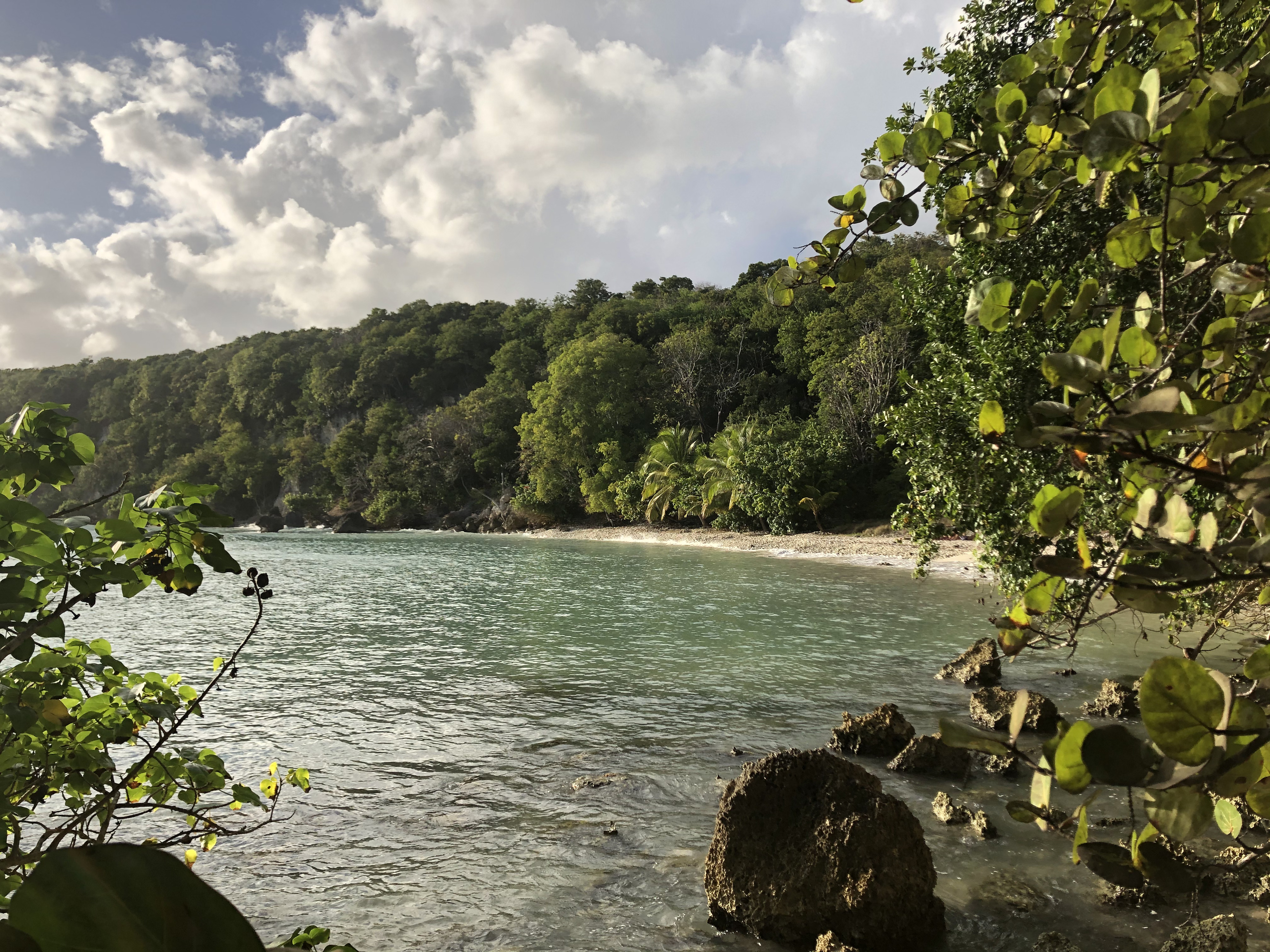 Picture Guadeloupe Petit Havre Beach 2021-02 12 - Discovery Petit Havre Beach