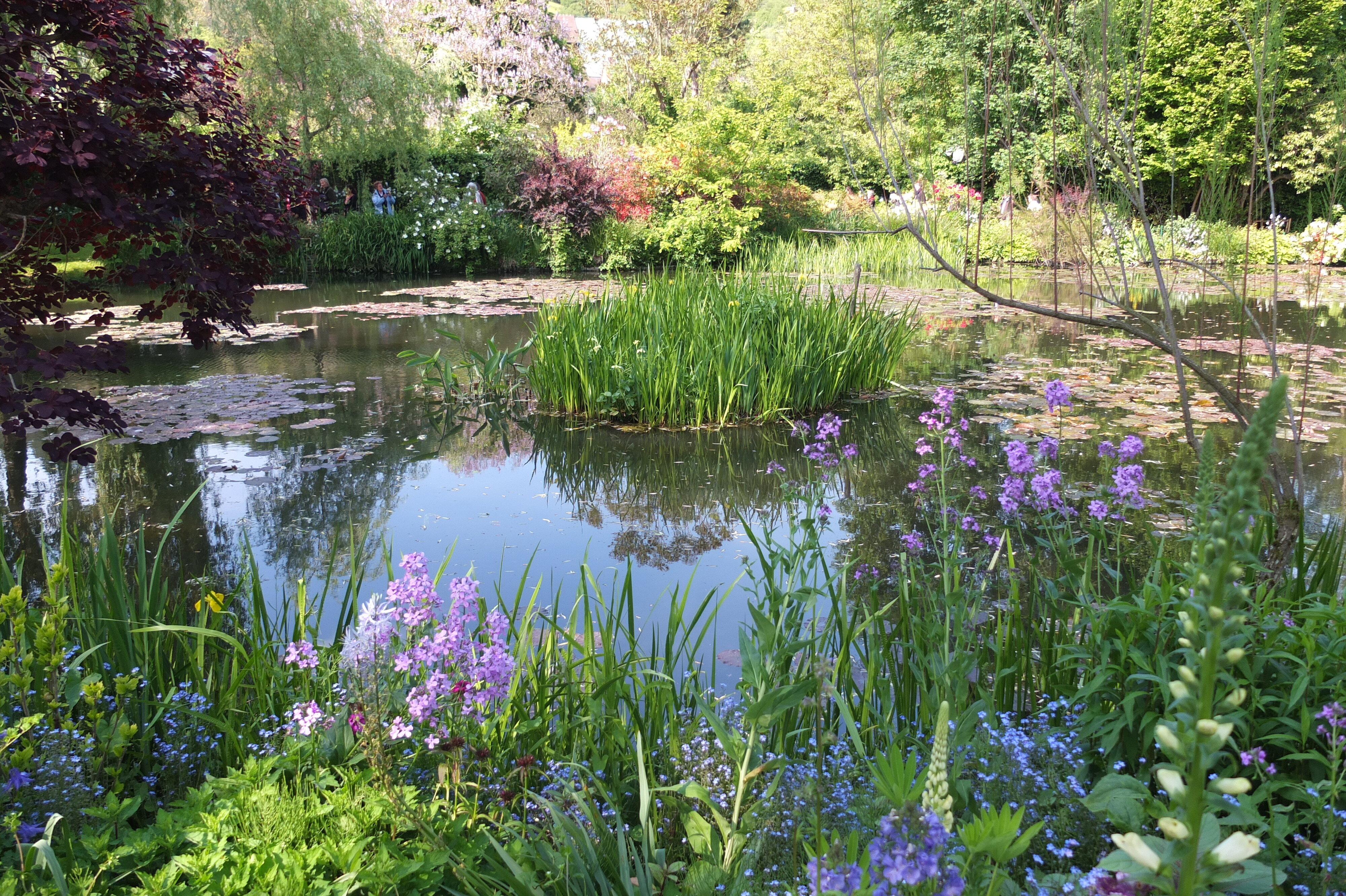 Picture France Giverny 2013-06 117 - Center Giverny