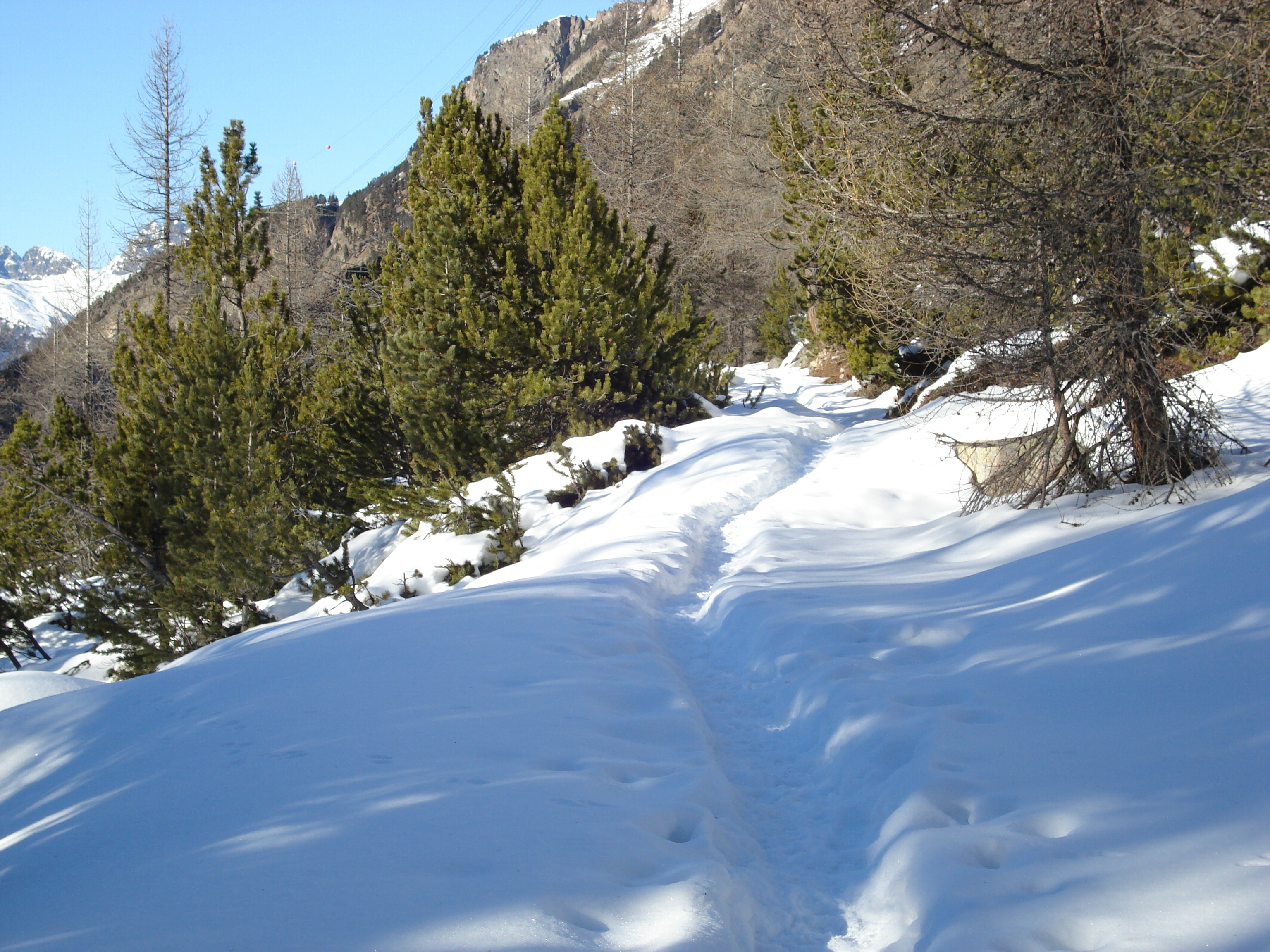 Picture Swiss From Pontresina to Lago Bianco 2007-01 7 - Center From Pontresina to Lago Bianco