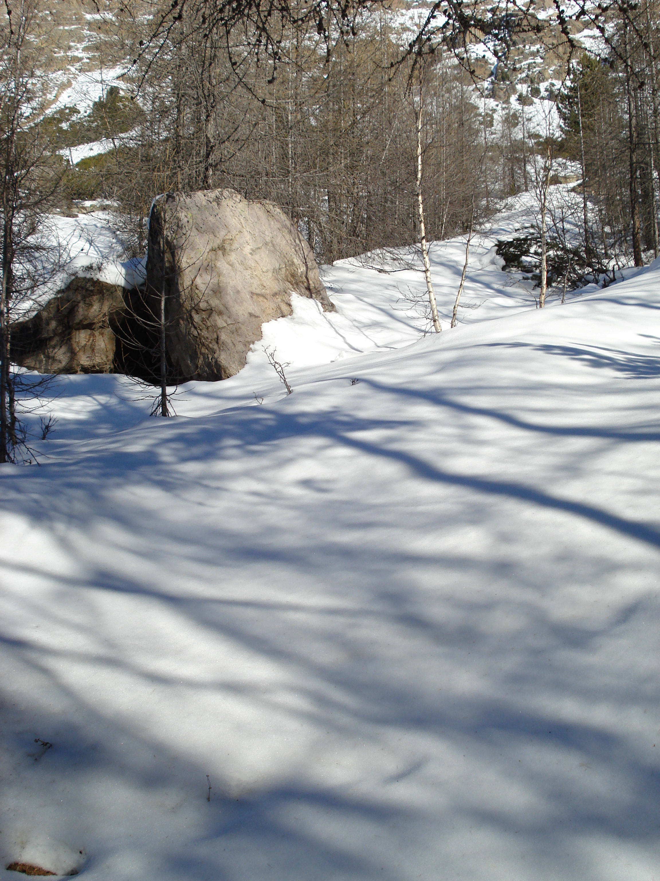 Picture Swiss From Pontresina to Lago Bianco 2007-01 5 - Tour From Pontresina to Lago Bianco