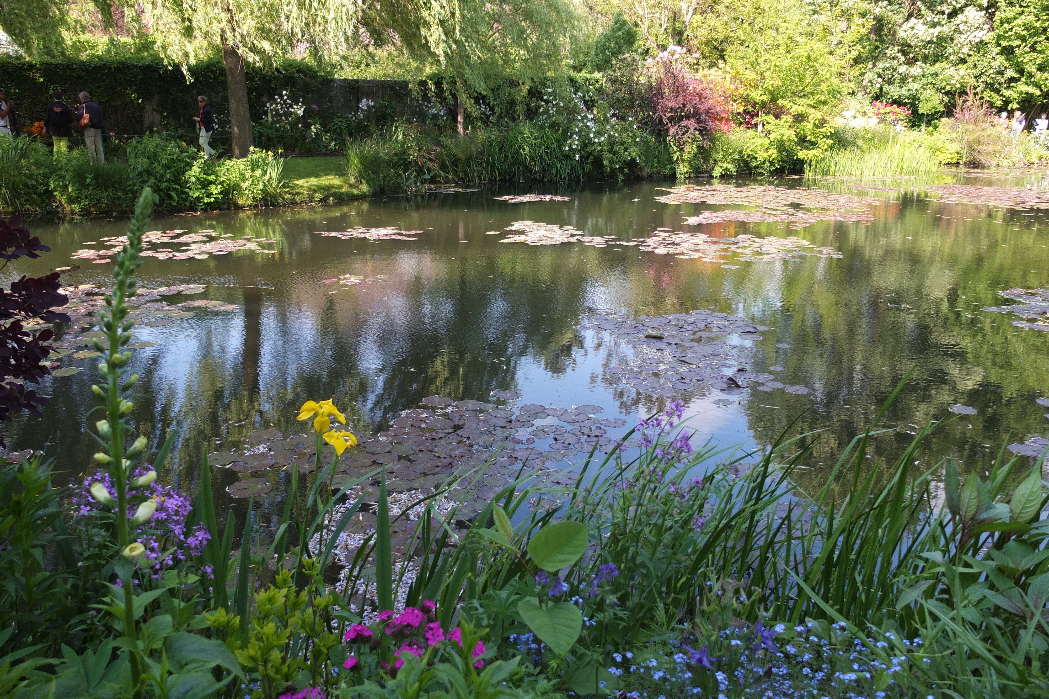 Picture France Giverny 2013-06 60 - Around Giverny