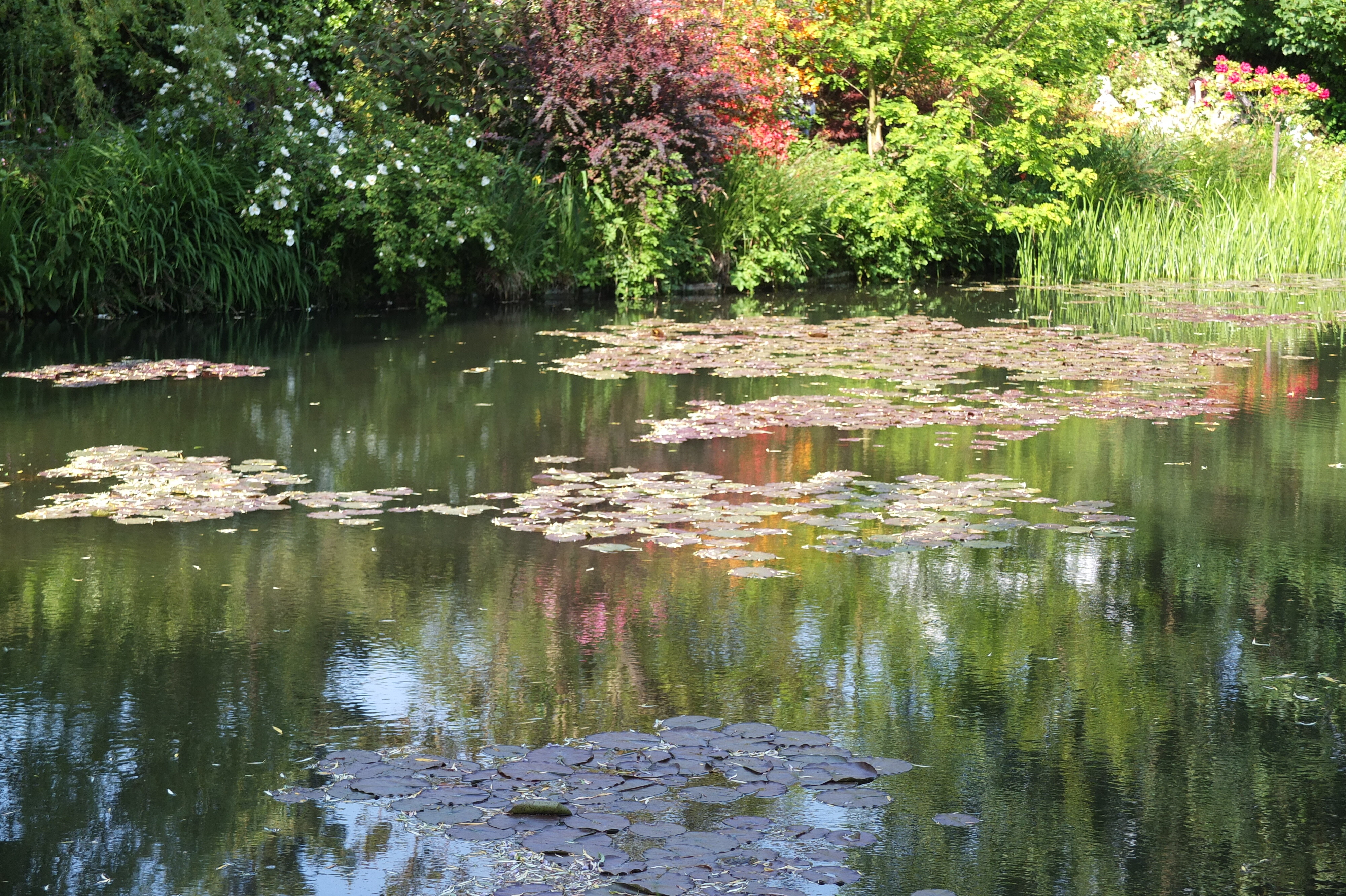 Picture France Giverny 2013-06 72 - Center Giverny