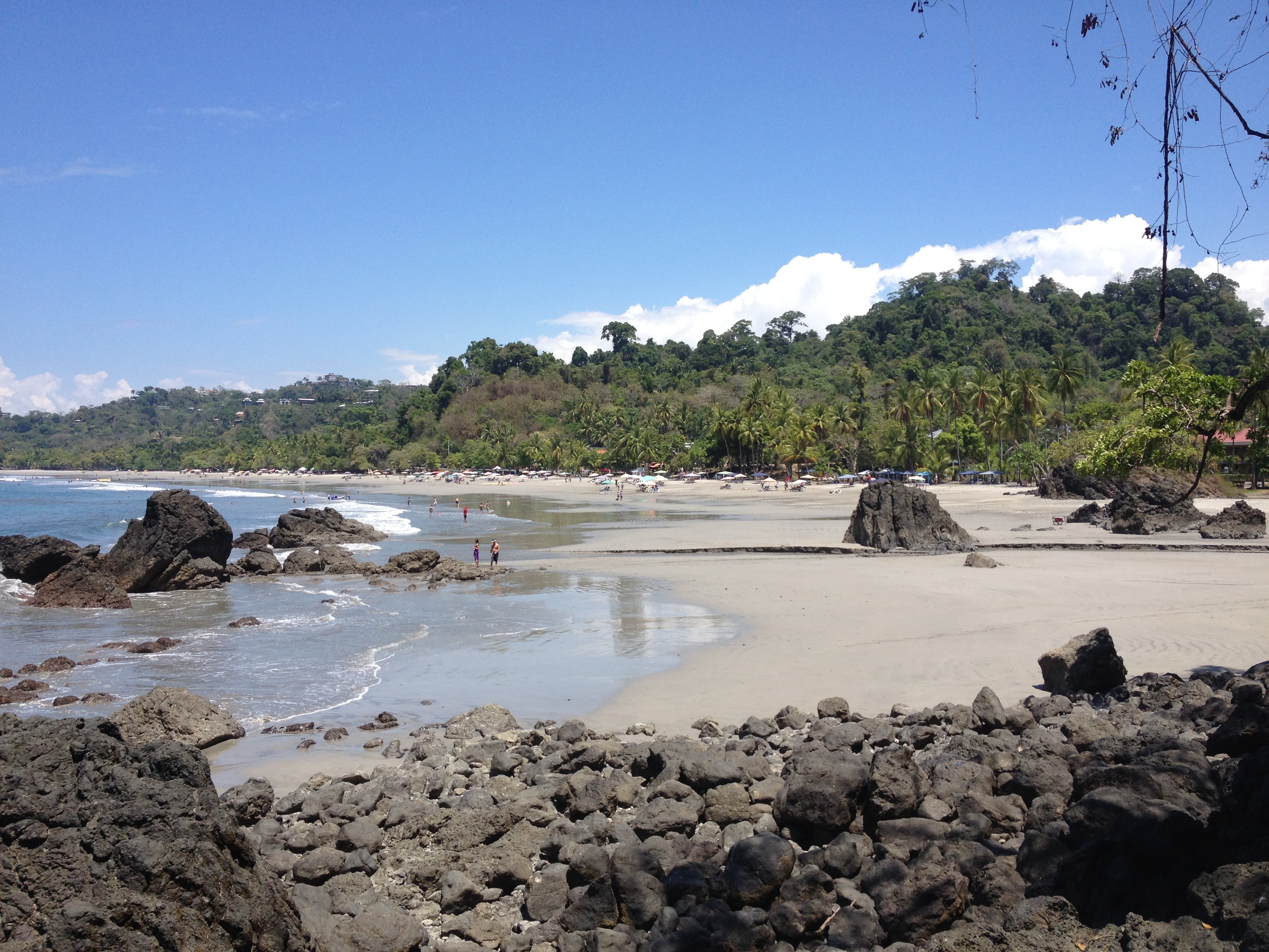 Picture Costa Rica Manuel Antonio 2015-03 43 - Discovery Manuel Antonio