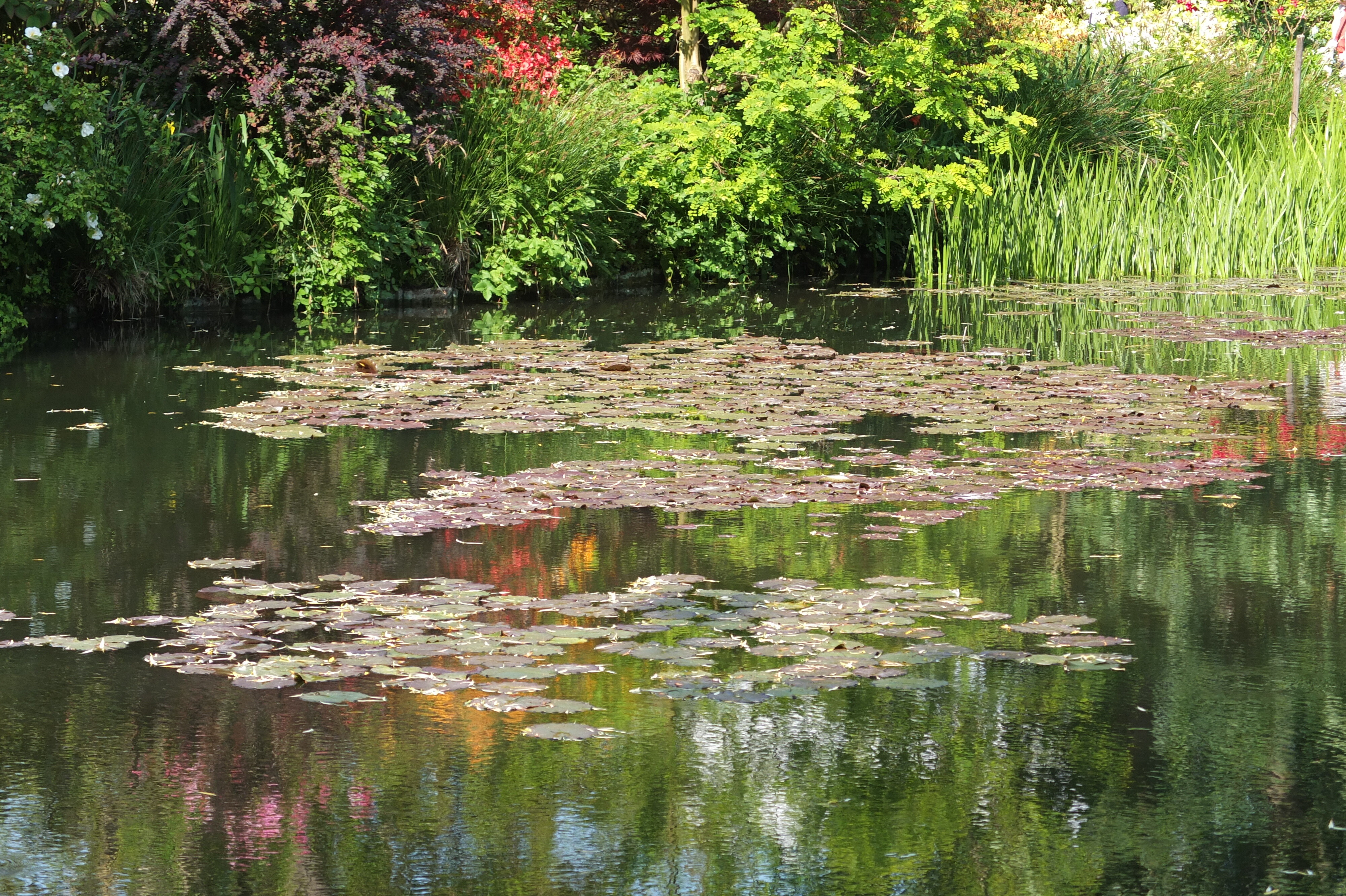 Picture France Giverny 2013-06 67 - Tour Giverny