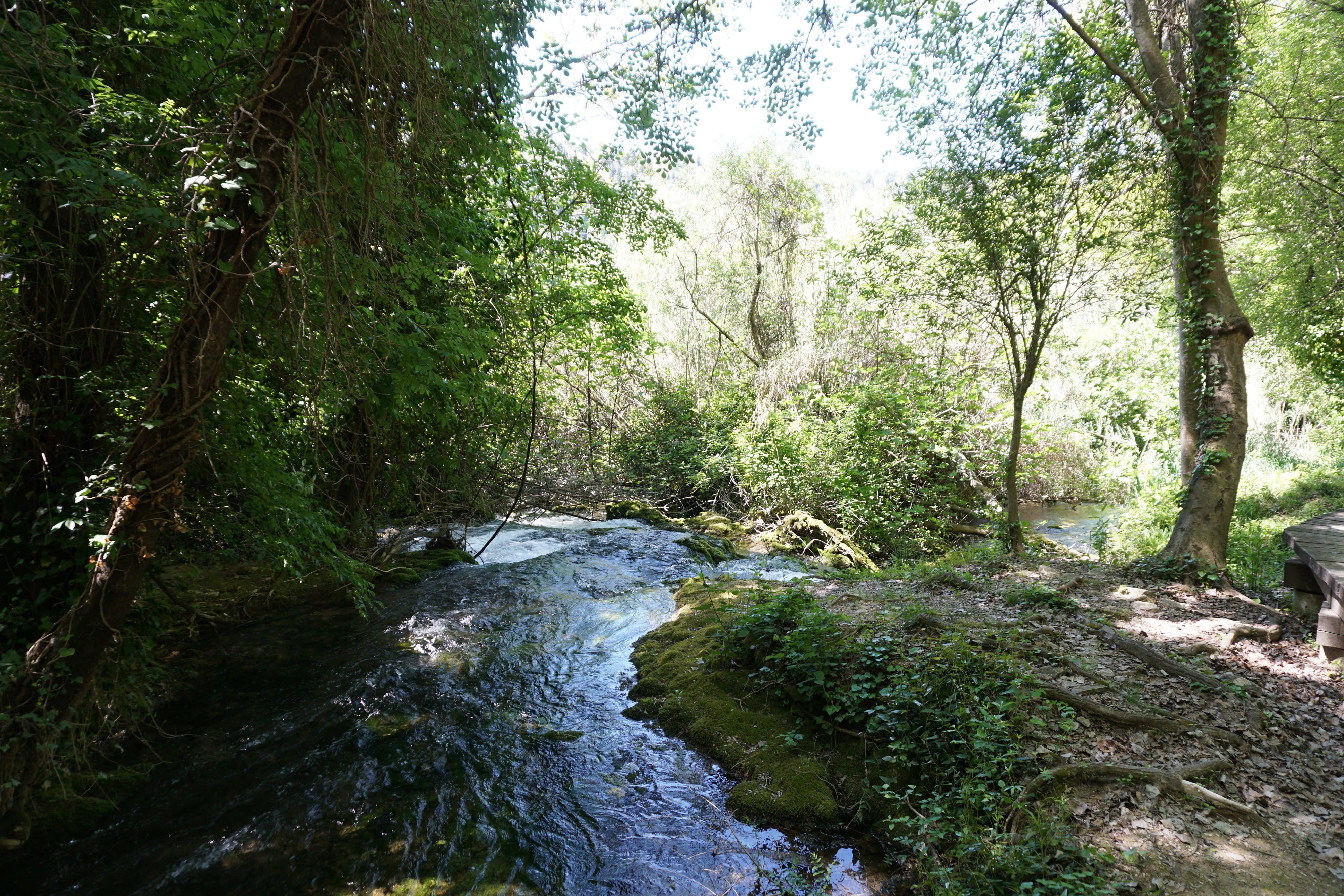 Picture Croatia Krka National Park 2016-04 128 - History Krka National Park