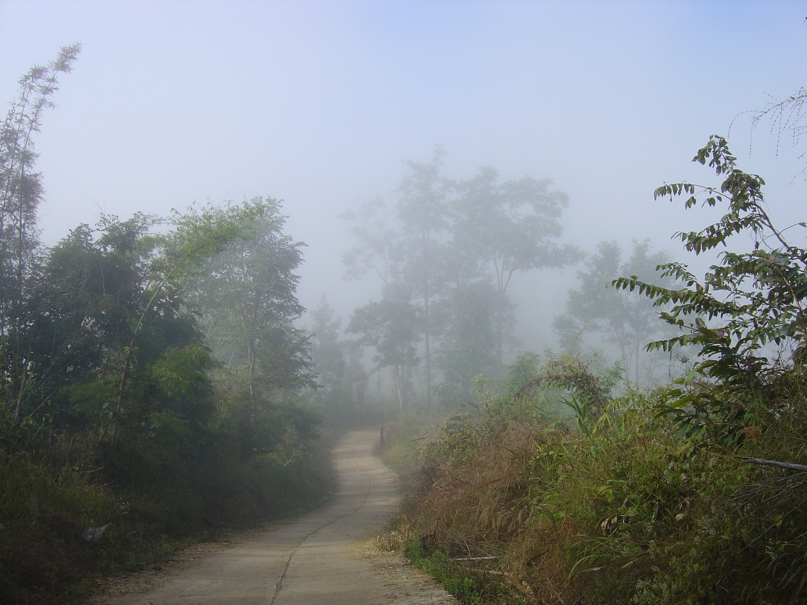 Picture Thailand Pang ma pha 2005-12 15 - History Pang ma pha