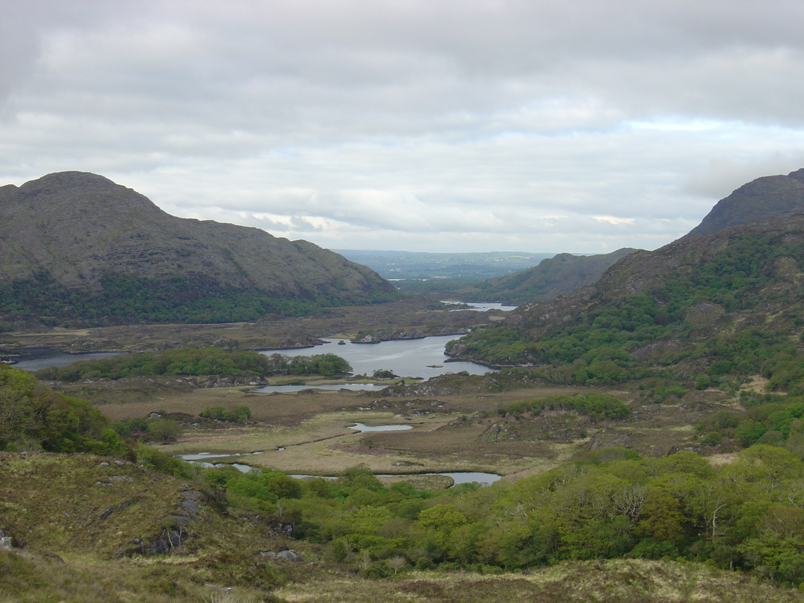 Picture Ireland Kerry Killarney National Park 2004-05 43 - Center Killarney National Park