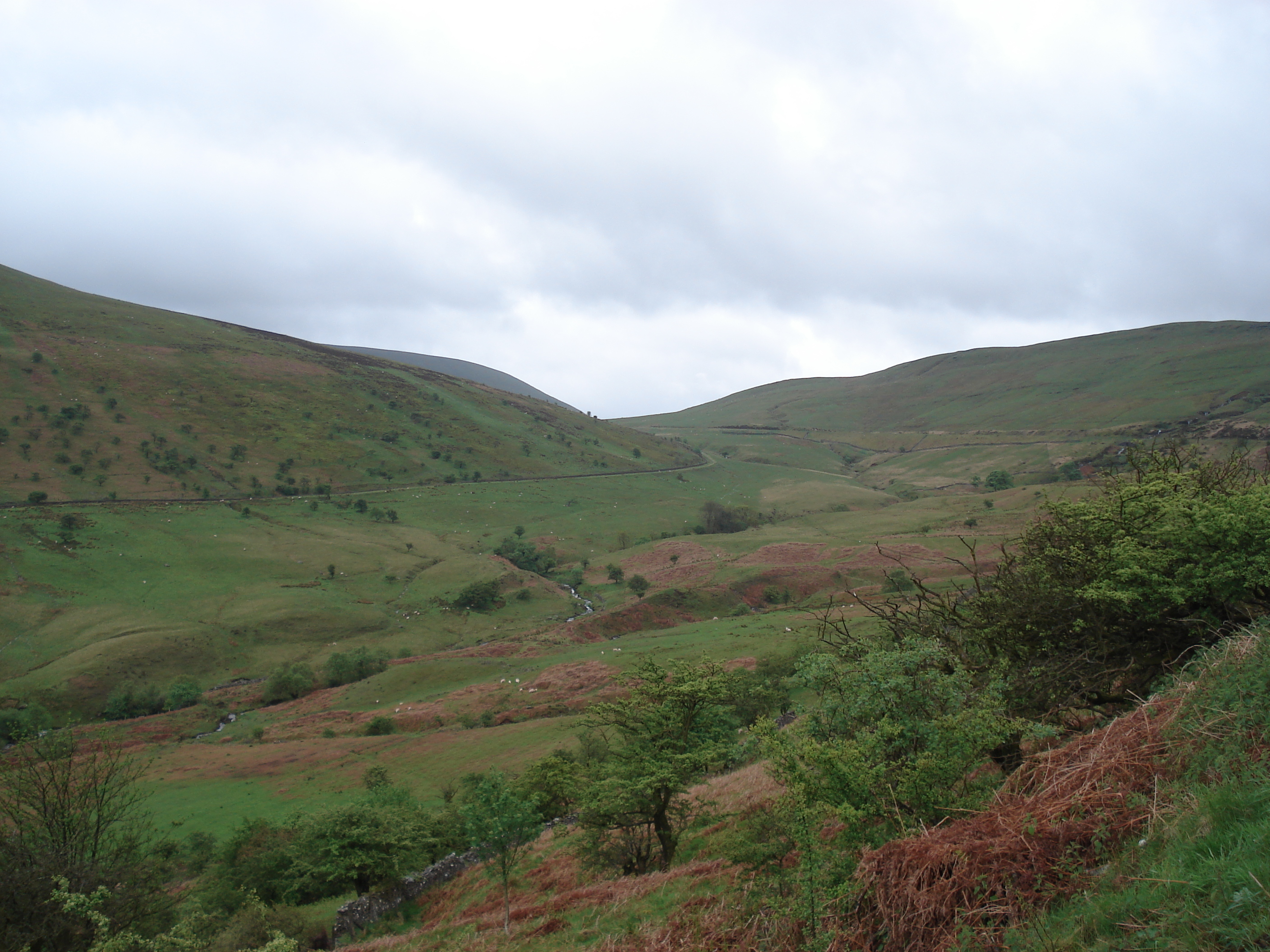 Picture United Kingdom Brecon Beacons National Parc 2006-05 116 - Tours Brecon Beacons National Parc