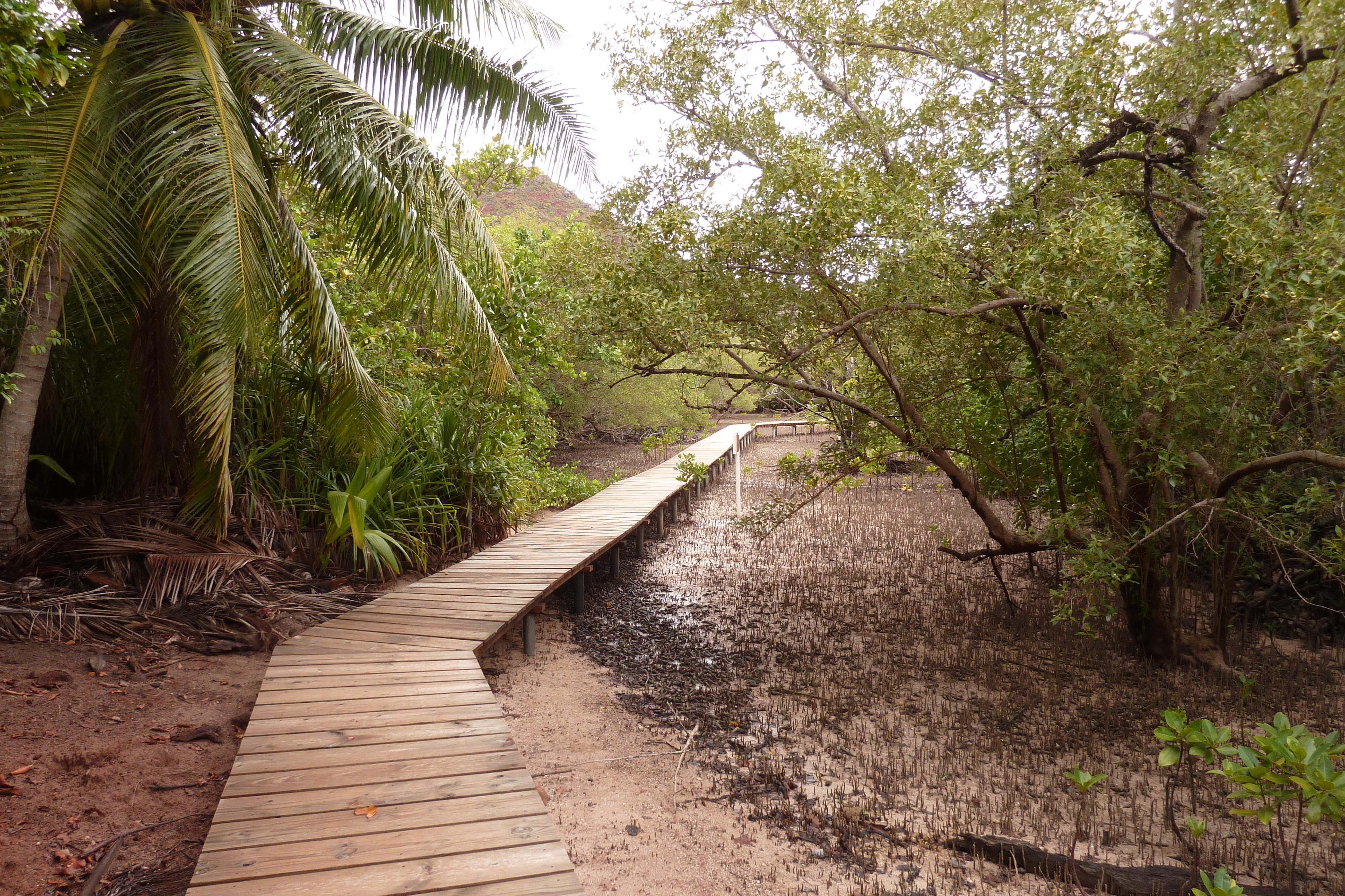 Picture Seychelles Curieuse 2011-10 58 - Around Curieuse