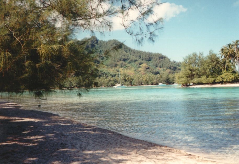 Picture Polynesia Moorea 1993-04 9 - Center Moorea