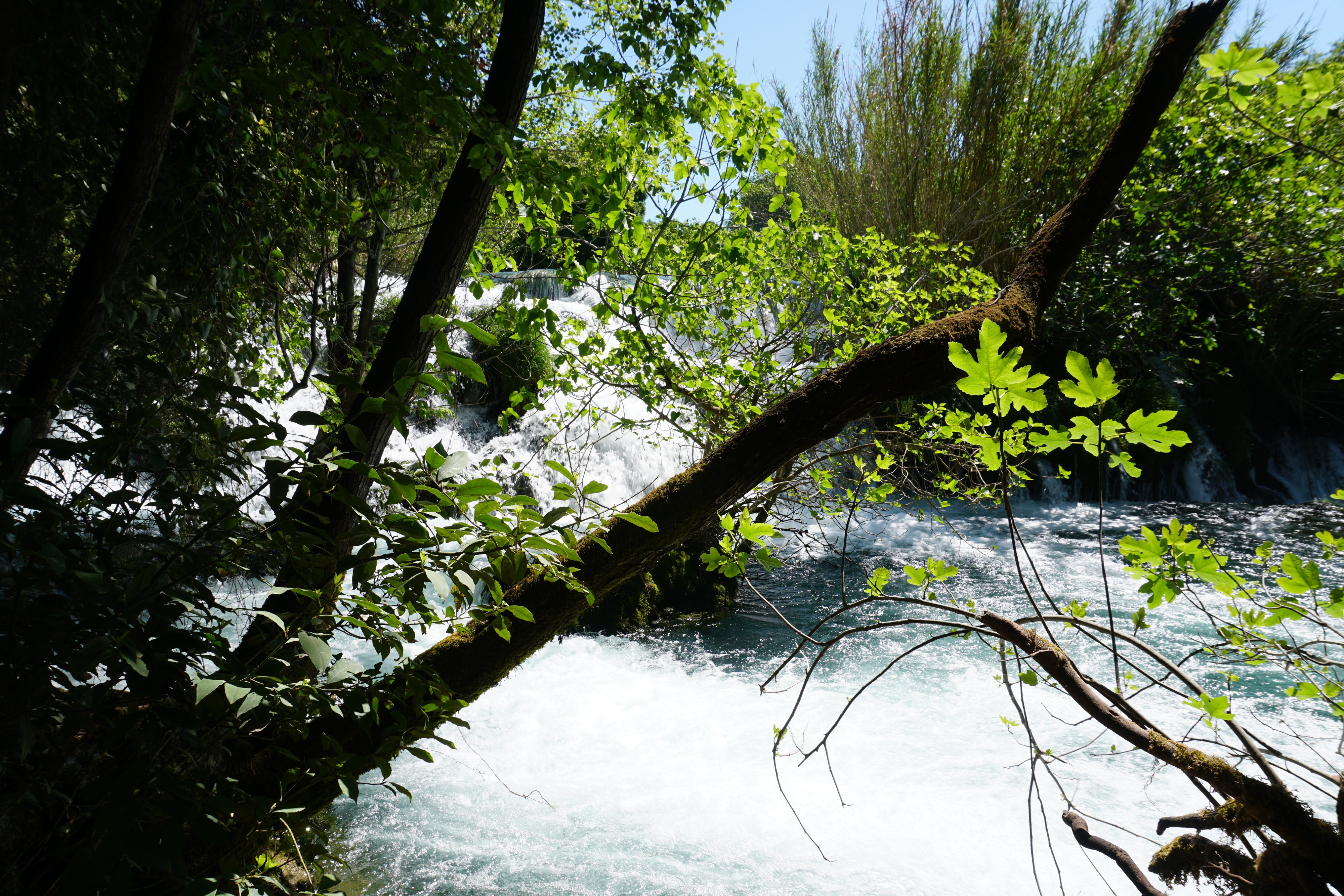 Picture Croatia Krka National Park 2016-04 92 - Tour Krka National Park