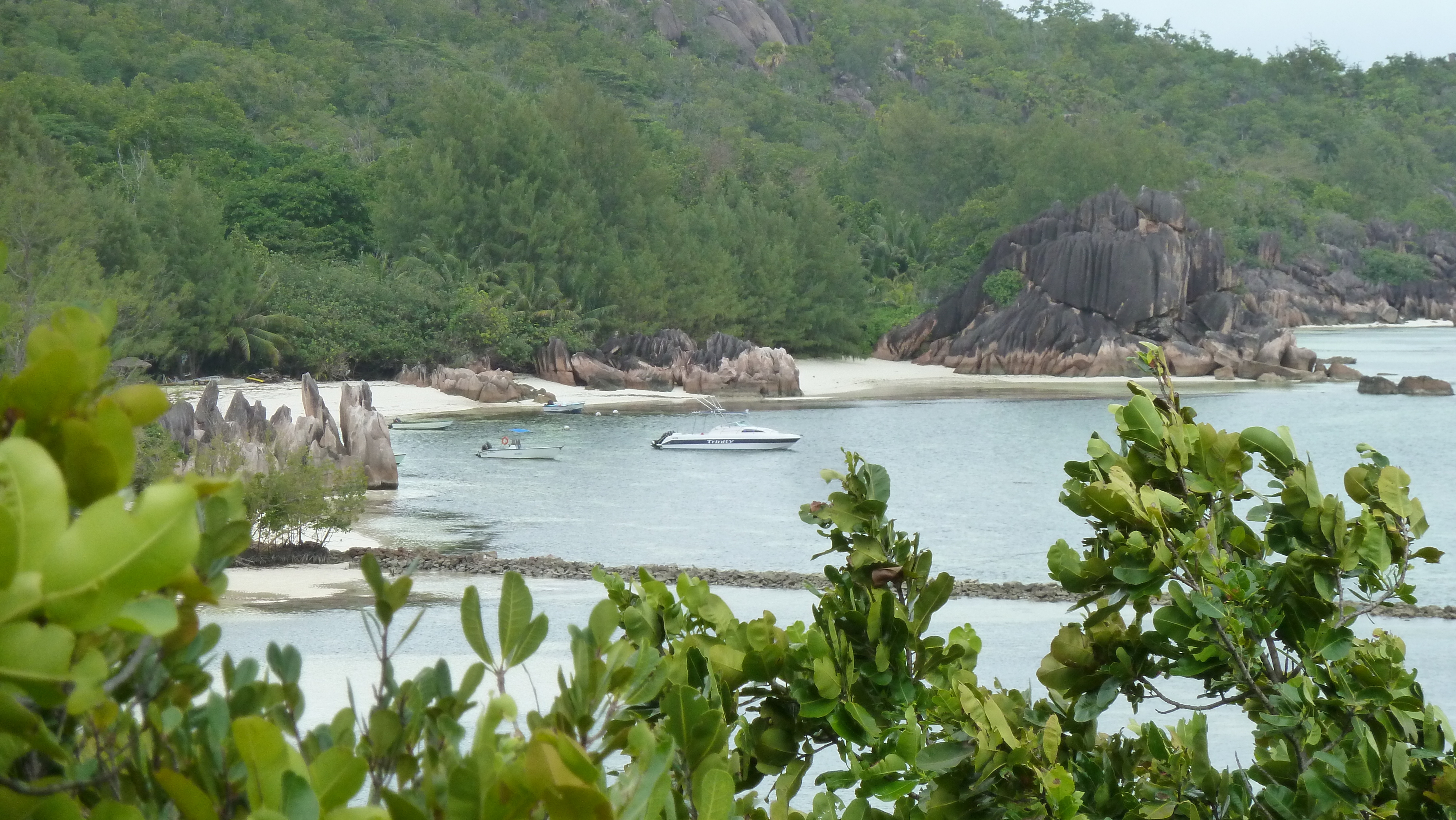 Picture Seychelles Curieuse 2011-10 57 - Around Curieuse