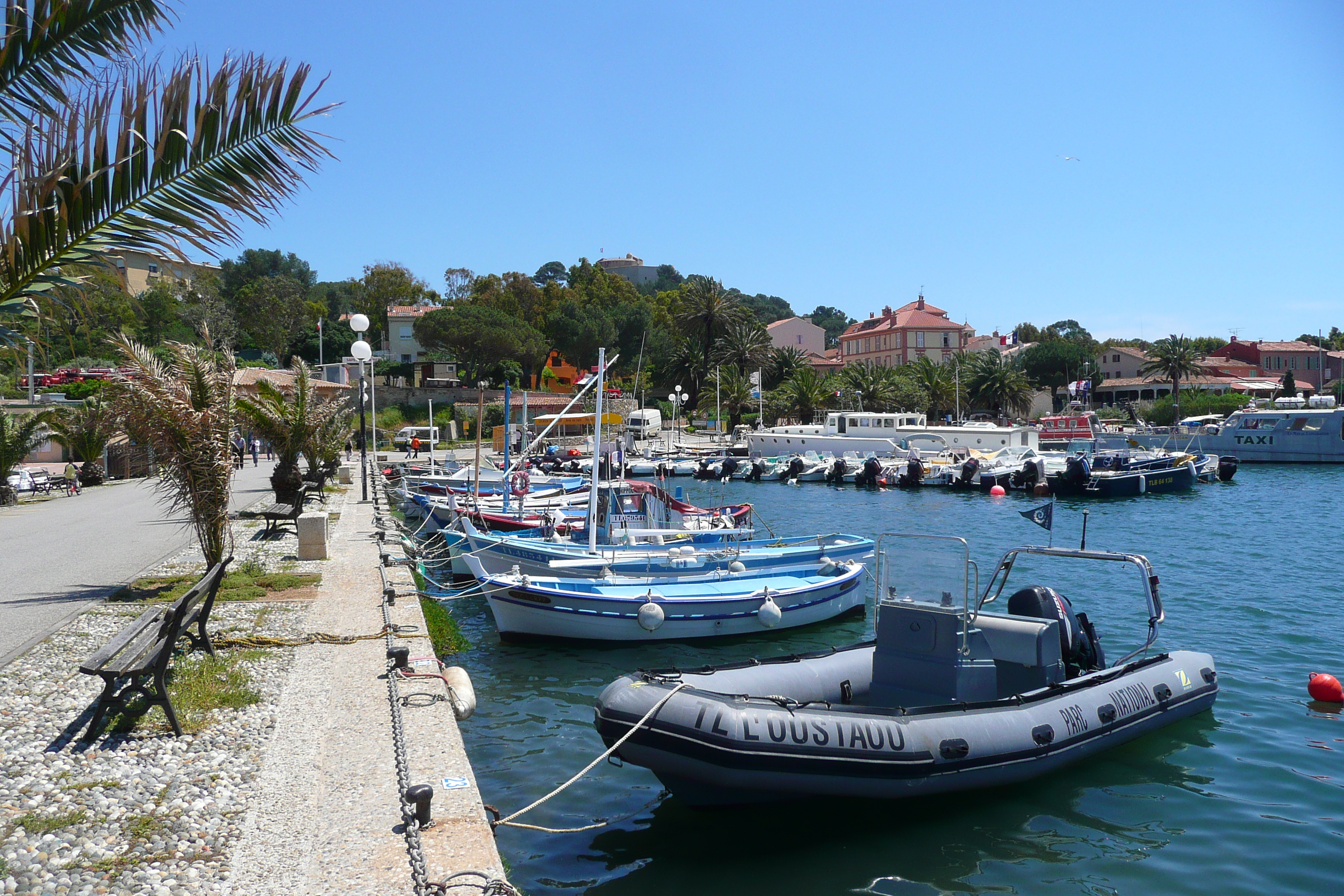 Picture France Porquerolles Island Porquerolles harbour 2008-05 60 - Around Porquerolles harbour