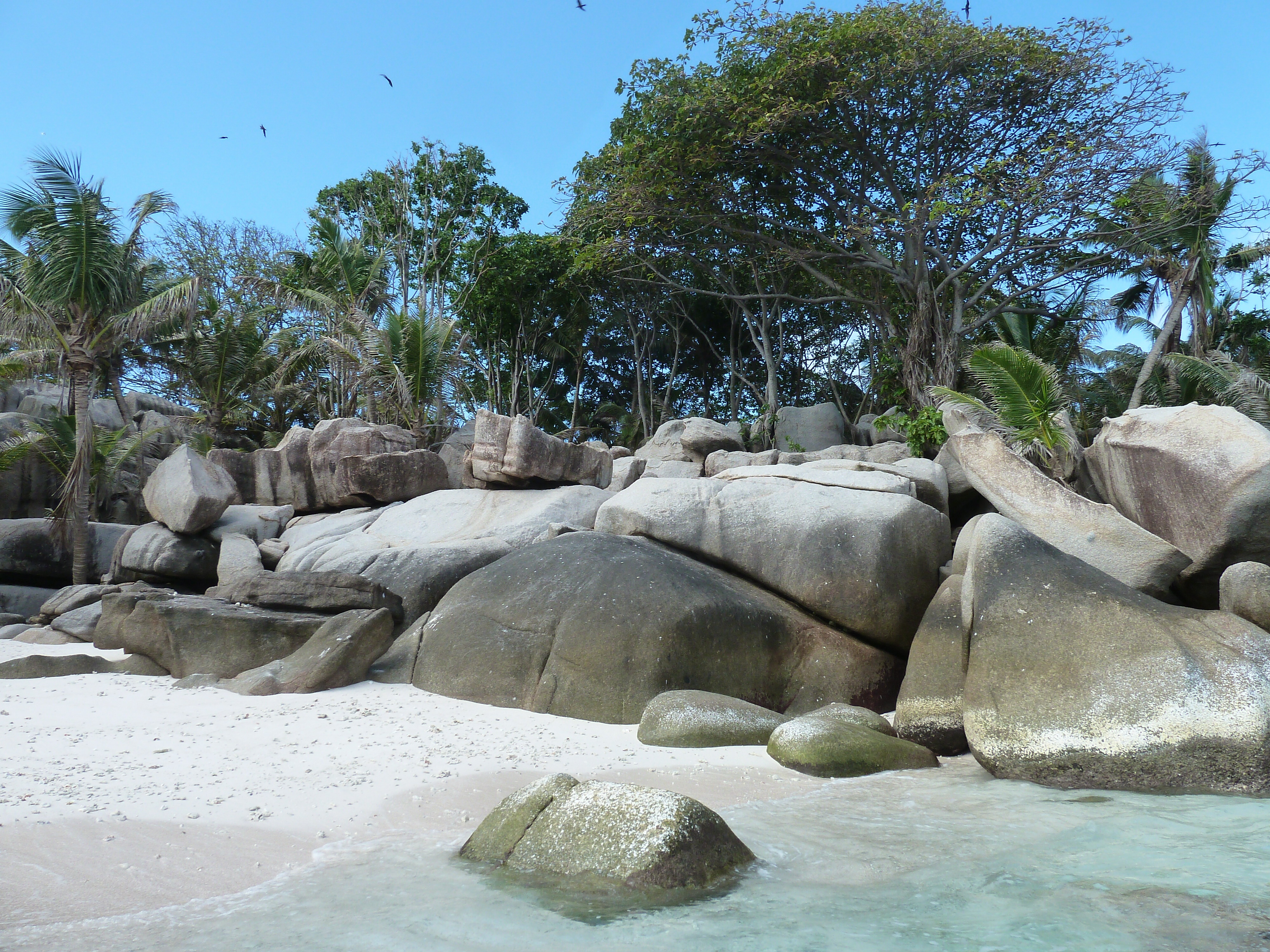 Picture Seychelles Coco Island 2011-10 12 - Center Coco Island