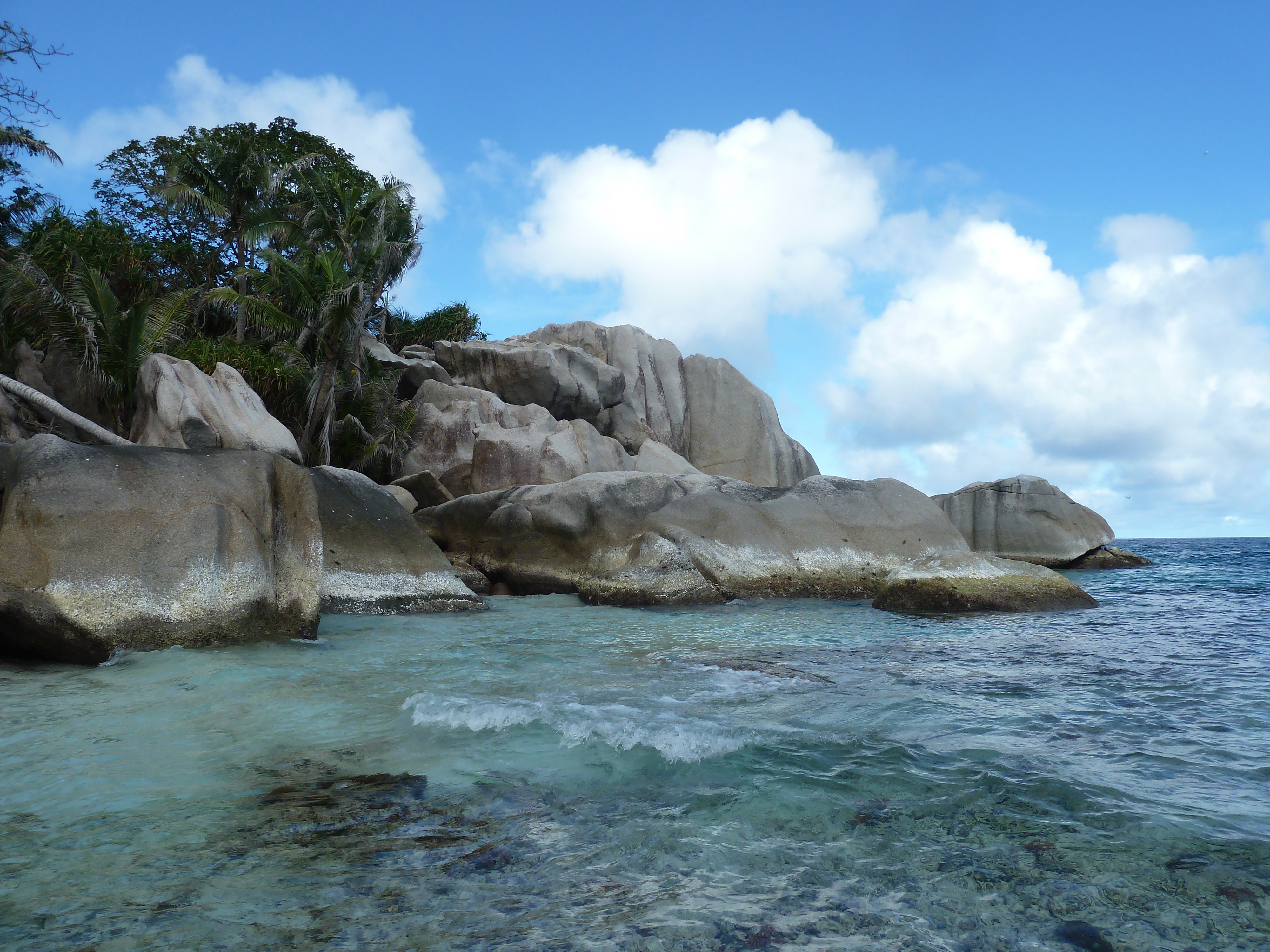 Picture Seychelles Coco Island 2011-10 59 - Center Coco Island