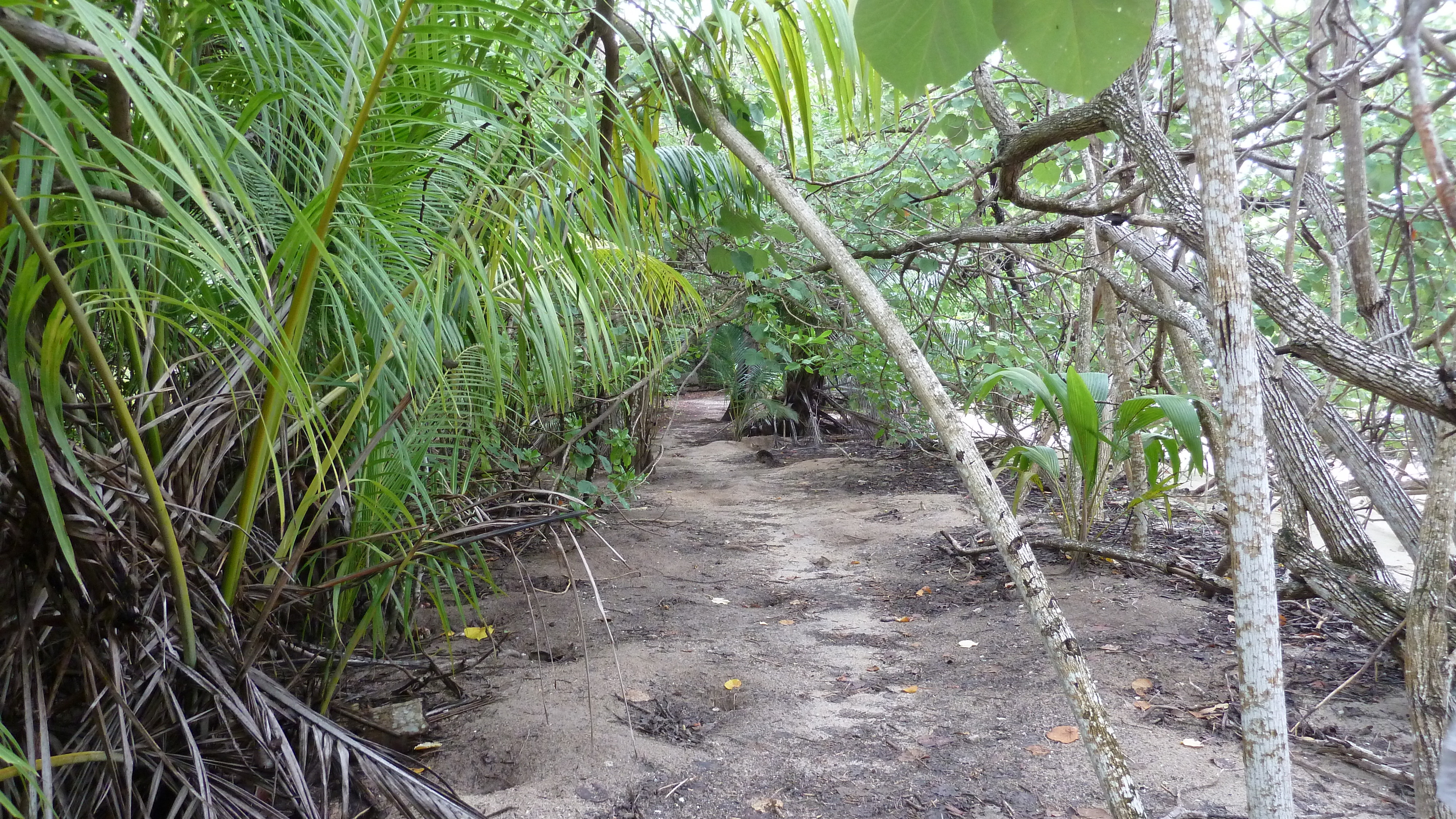 Picture Seychelles Curieuse 2011-10 52 - History Curieuse