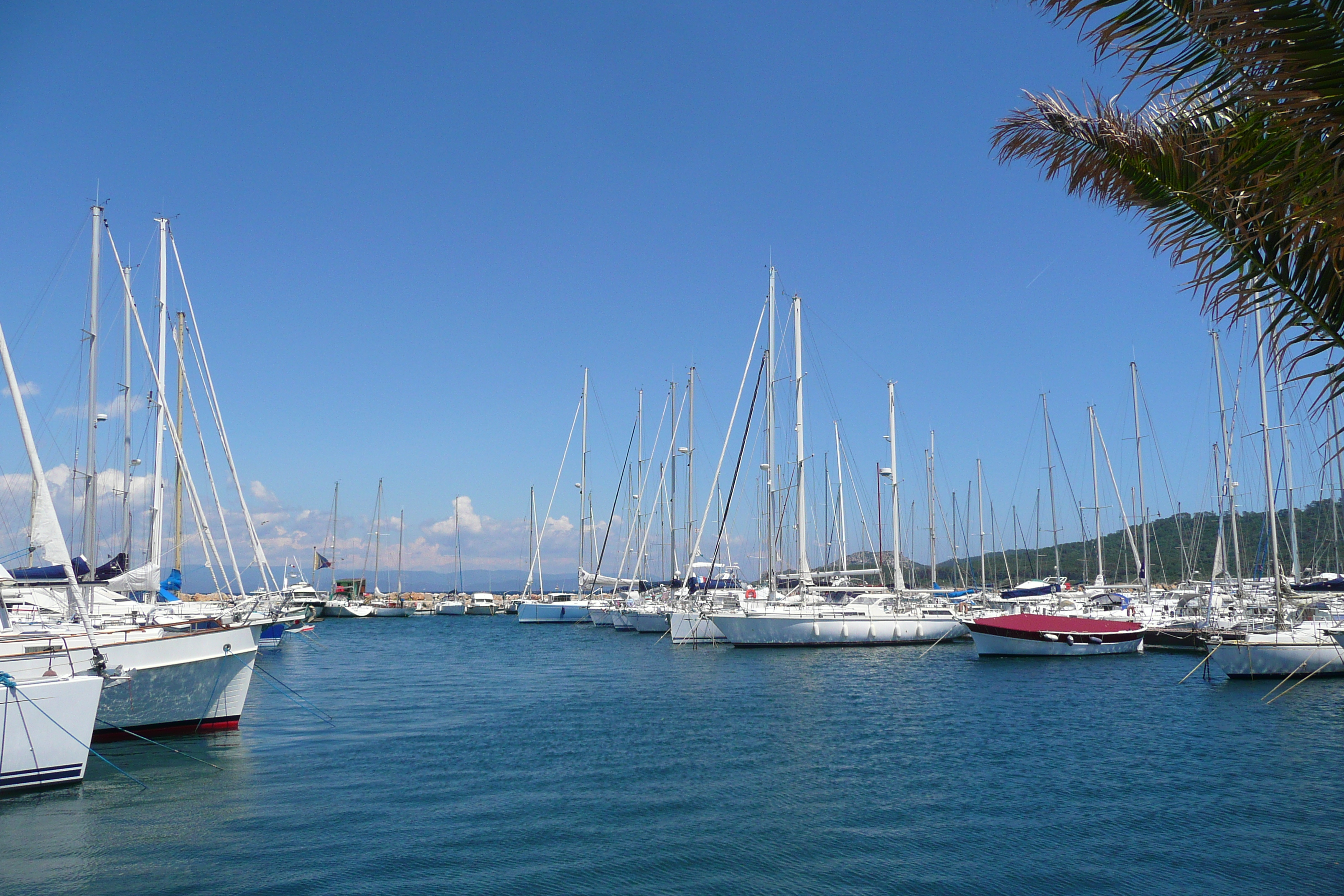 Picture France Porquerolles Island Porquerolles harbour 2008-05 12 - Tours Porquerolles harbour