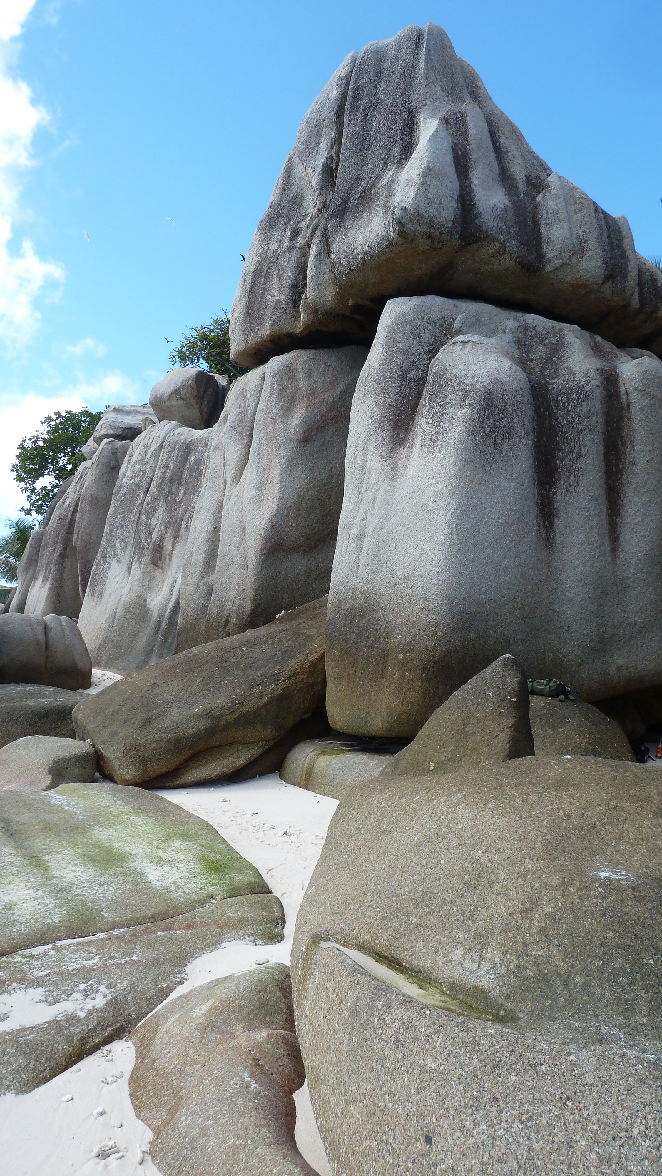 Picture Seychelles Coco Island 2011-10 80 - Center Coco Island