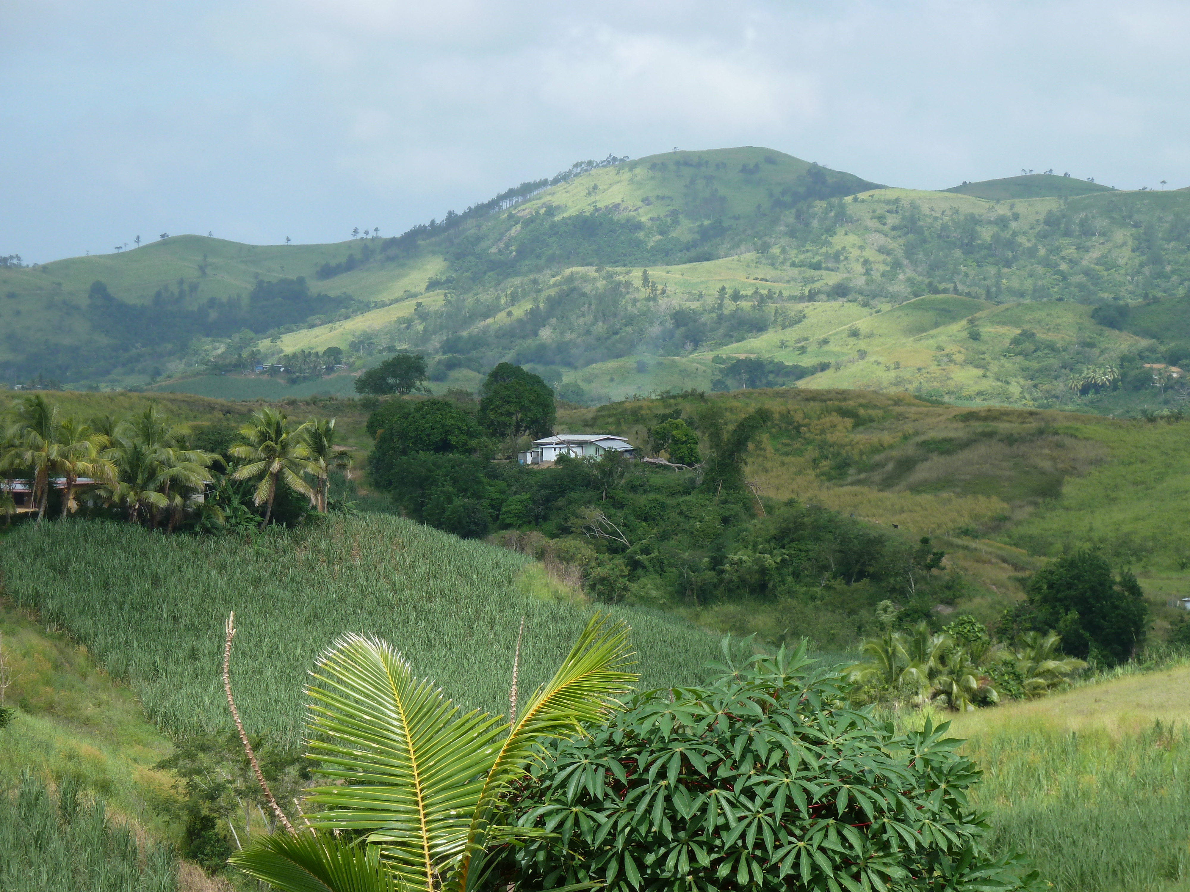 Picture Fiji Nadi to Natadola road 2010-05 8 - Center Nadi to Natadola road