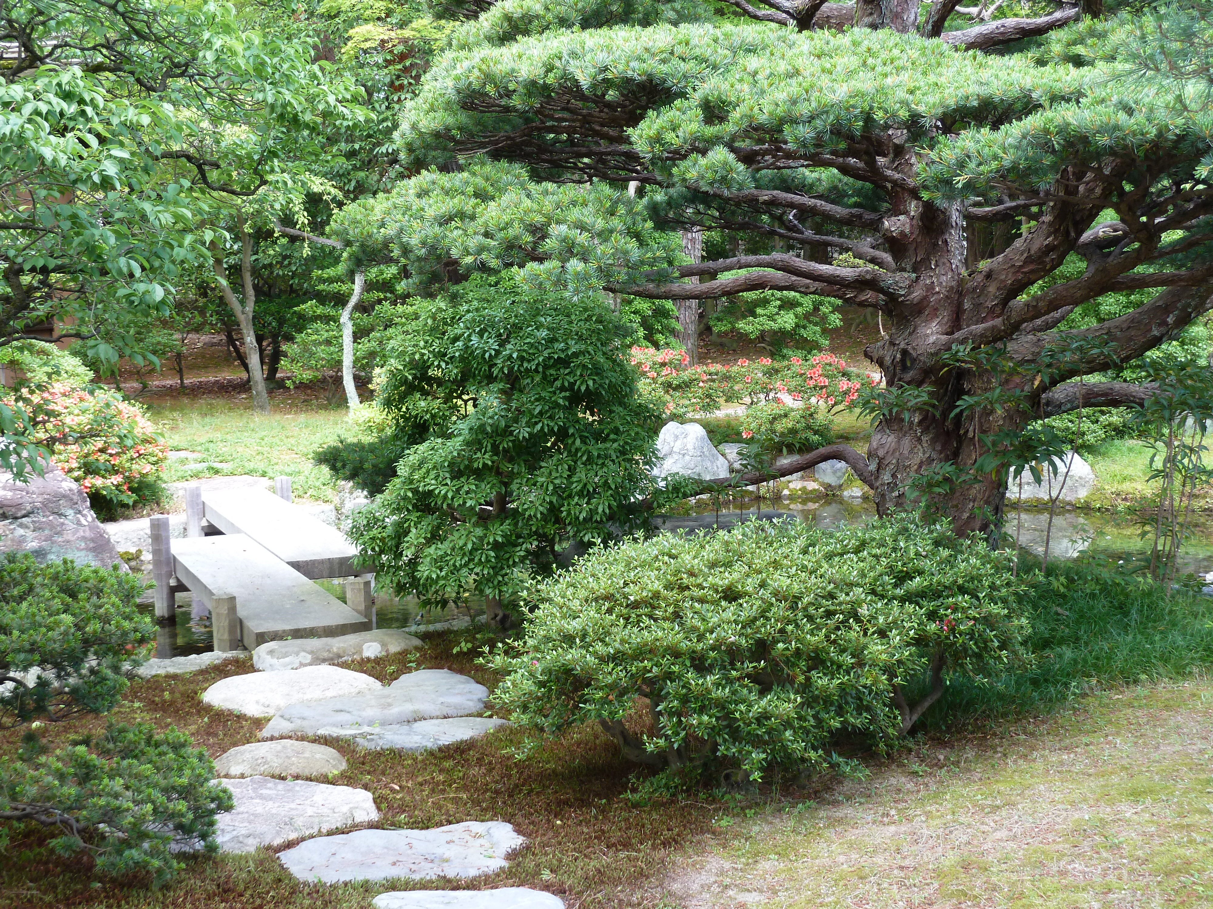 Picture Japan Kyoto Kyoto Imperial Palace 2010-06 111 - Center Kyoto Imperial Palace