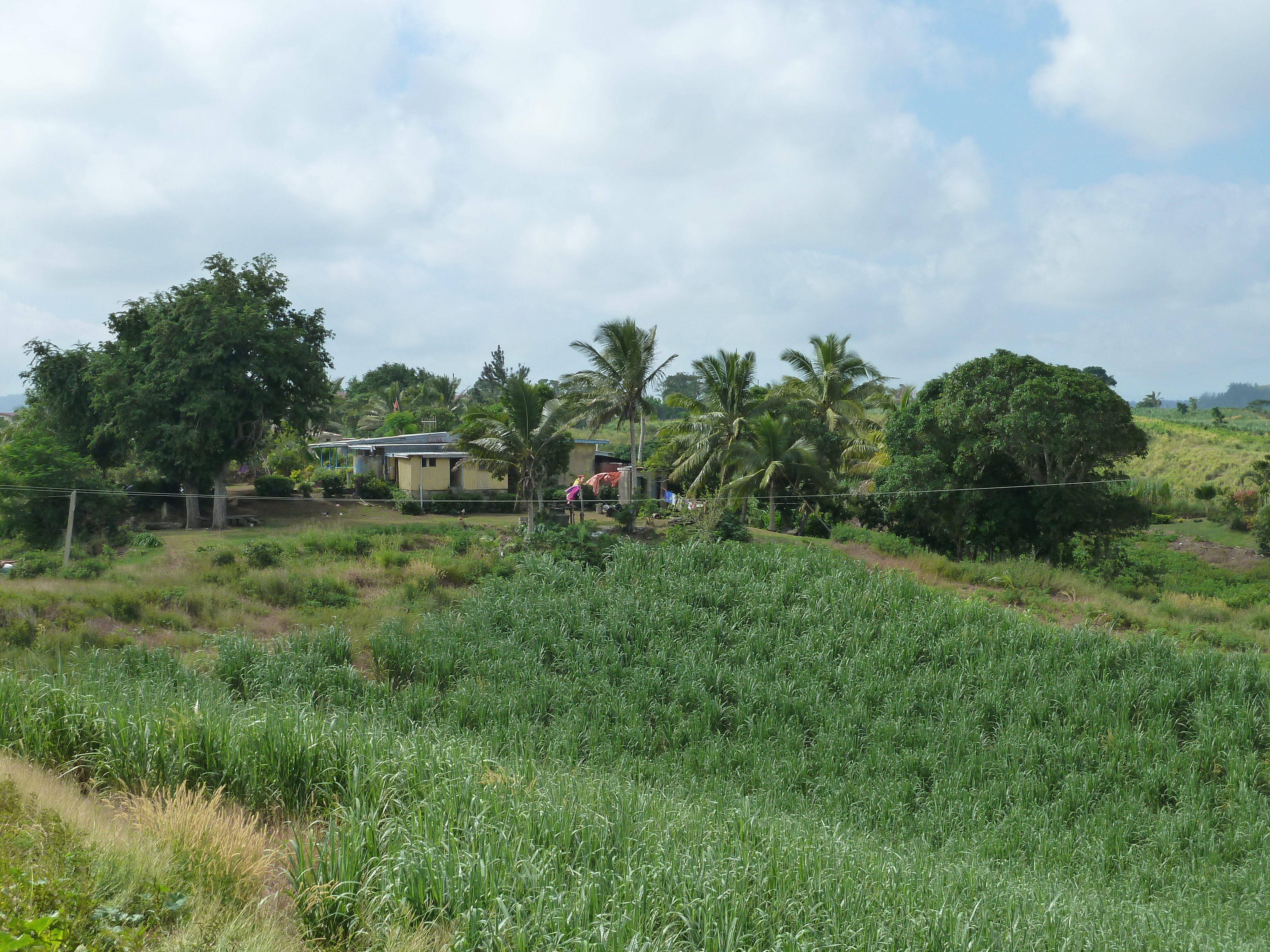 Picture Fiji Nadi to Natadola road 2010-05 1 - Tours Nadi to Natadola road