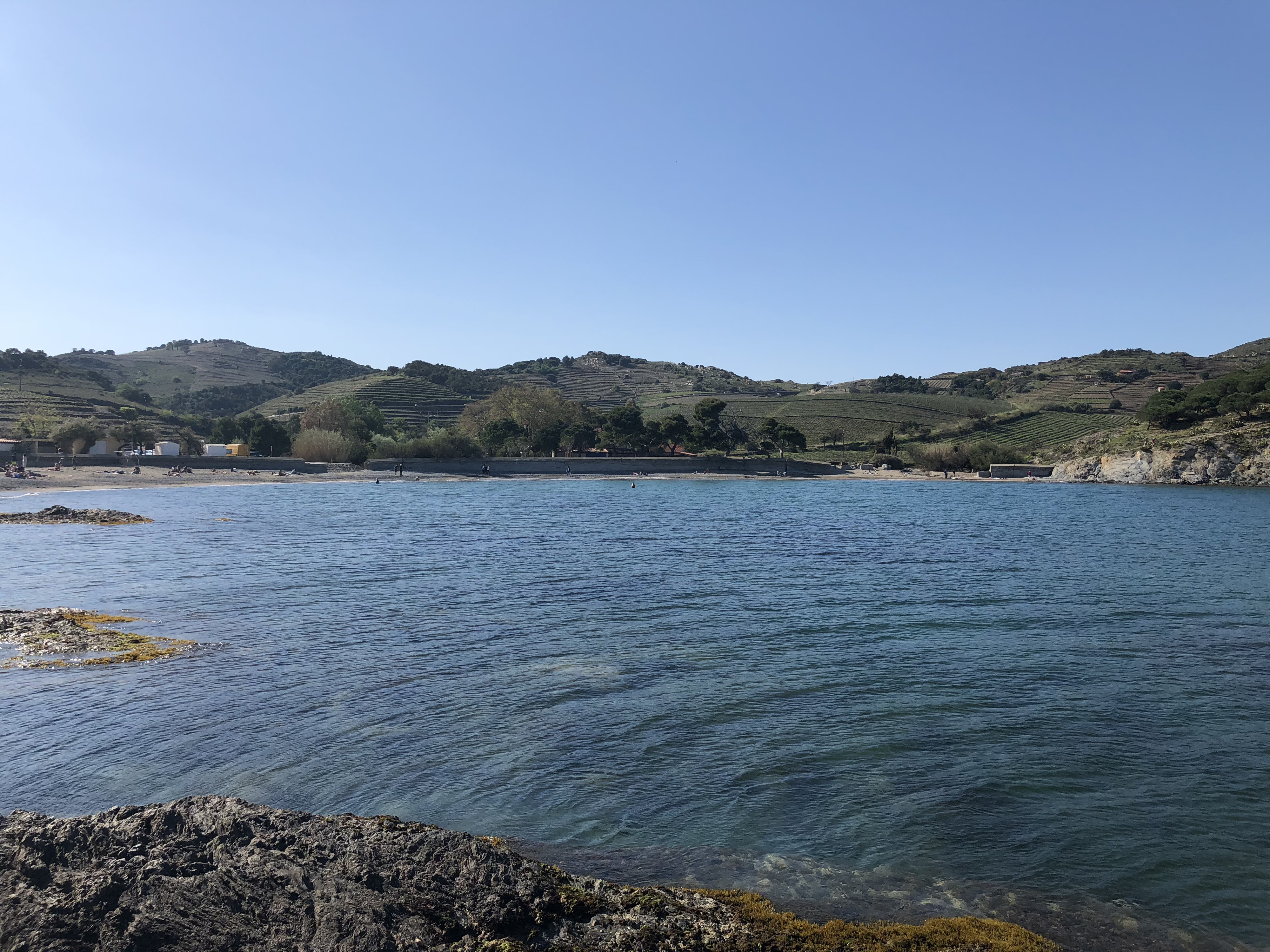 Picture France Collioure 2018-04 42 - Discovery Collioure