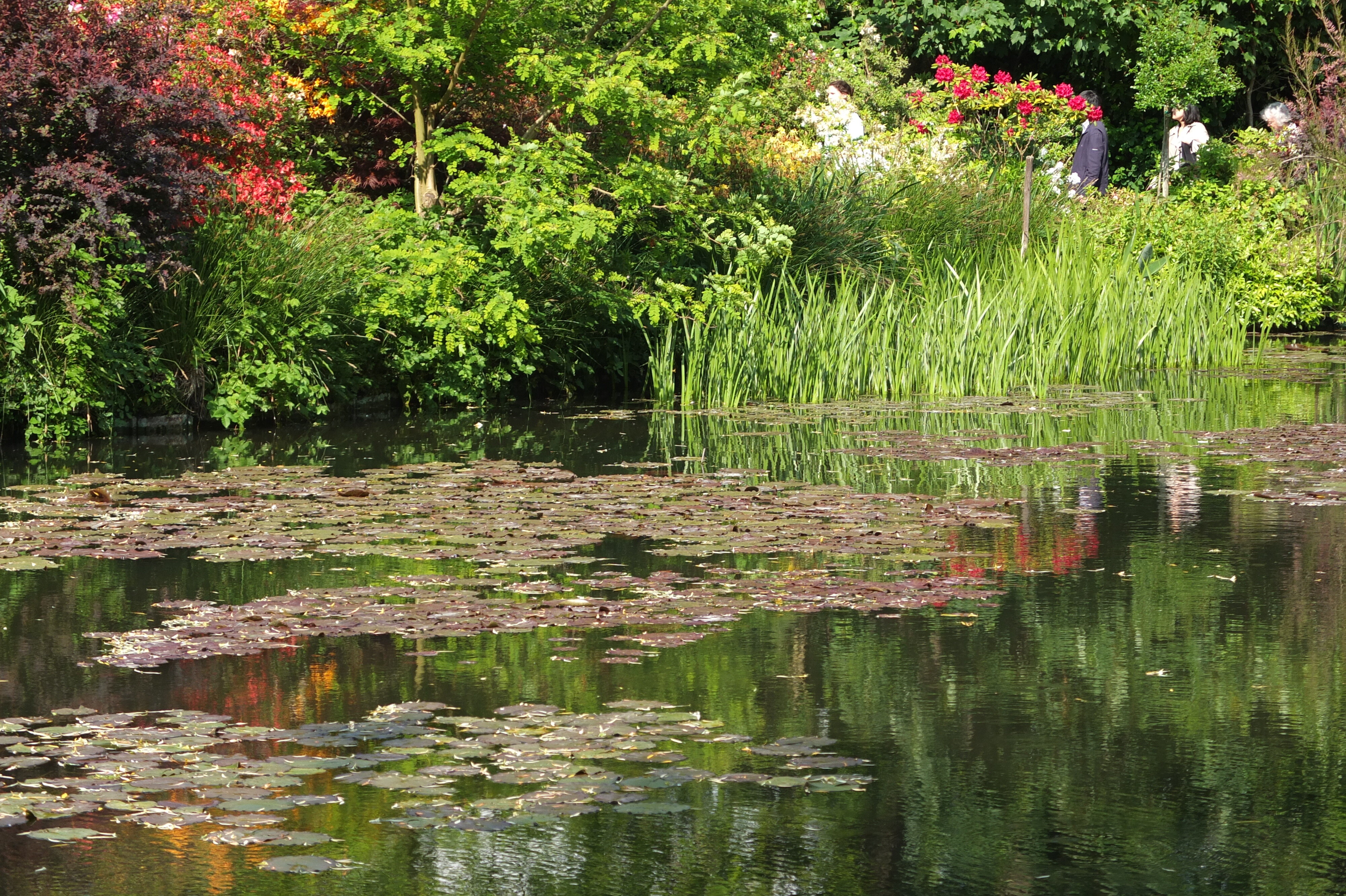 Picture France Giverny 2013-06 84 - Center Giverny