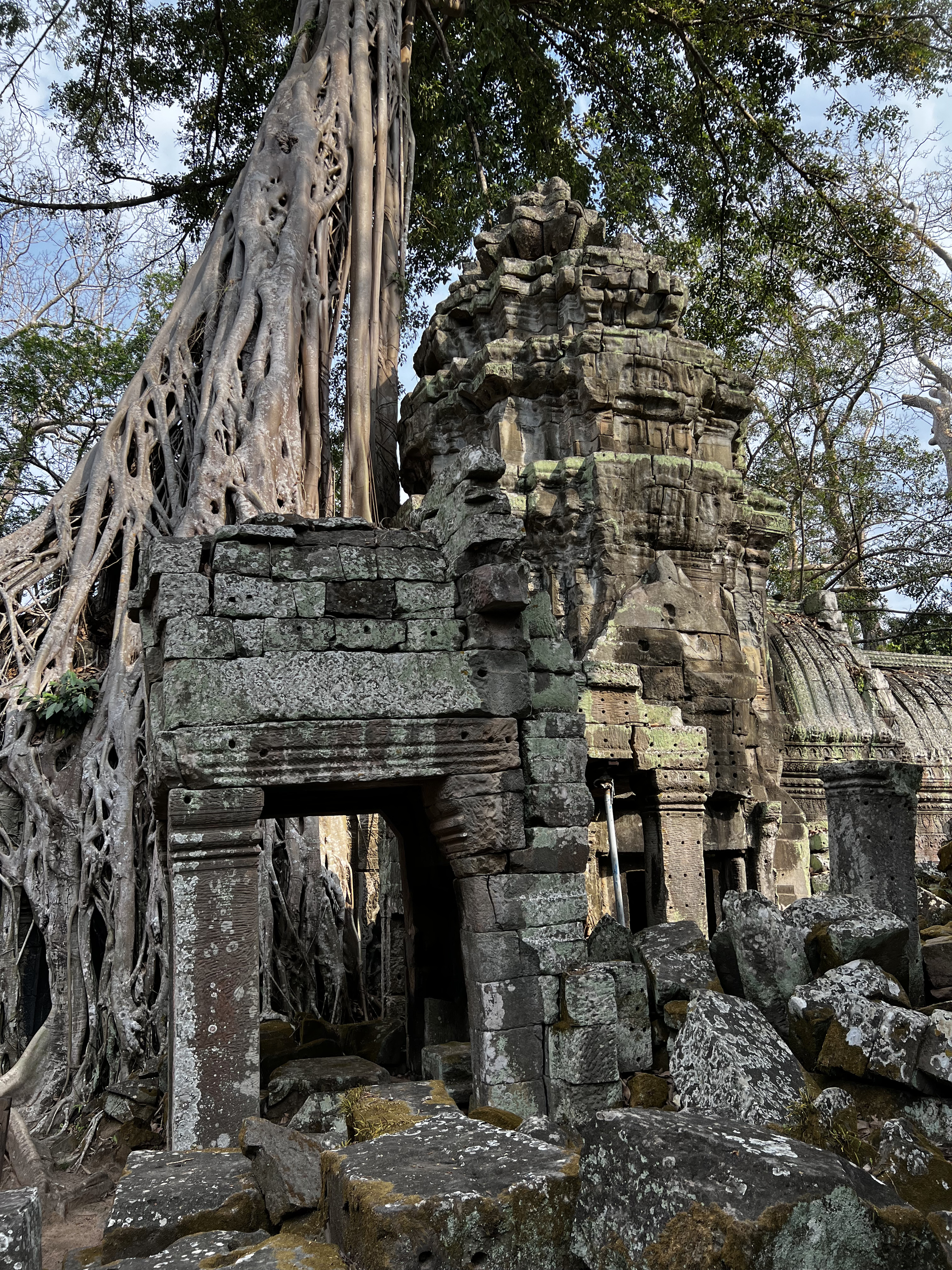 Picture Cambodia Siem Reap Ta Prohm 2023-01 152 - Journey Ta Prohm