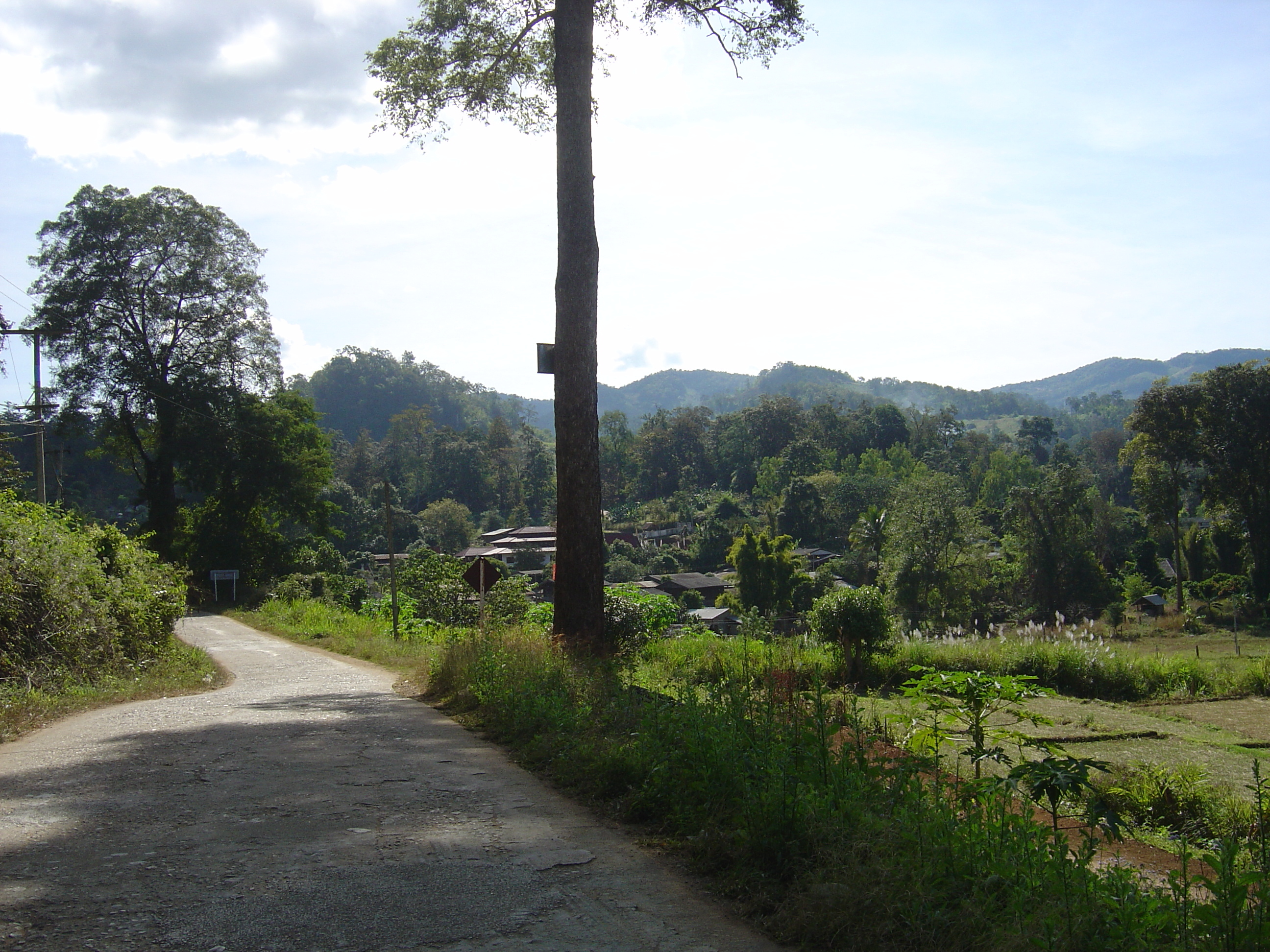 Picture Thailand Pang ma pha 2005-12 14 - Discovery Pang ma pha