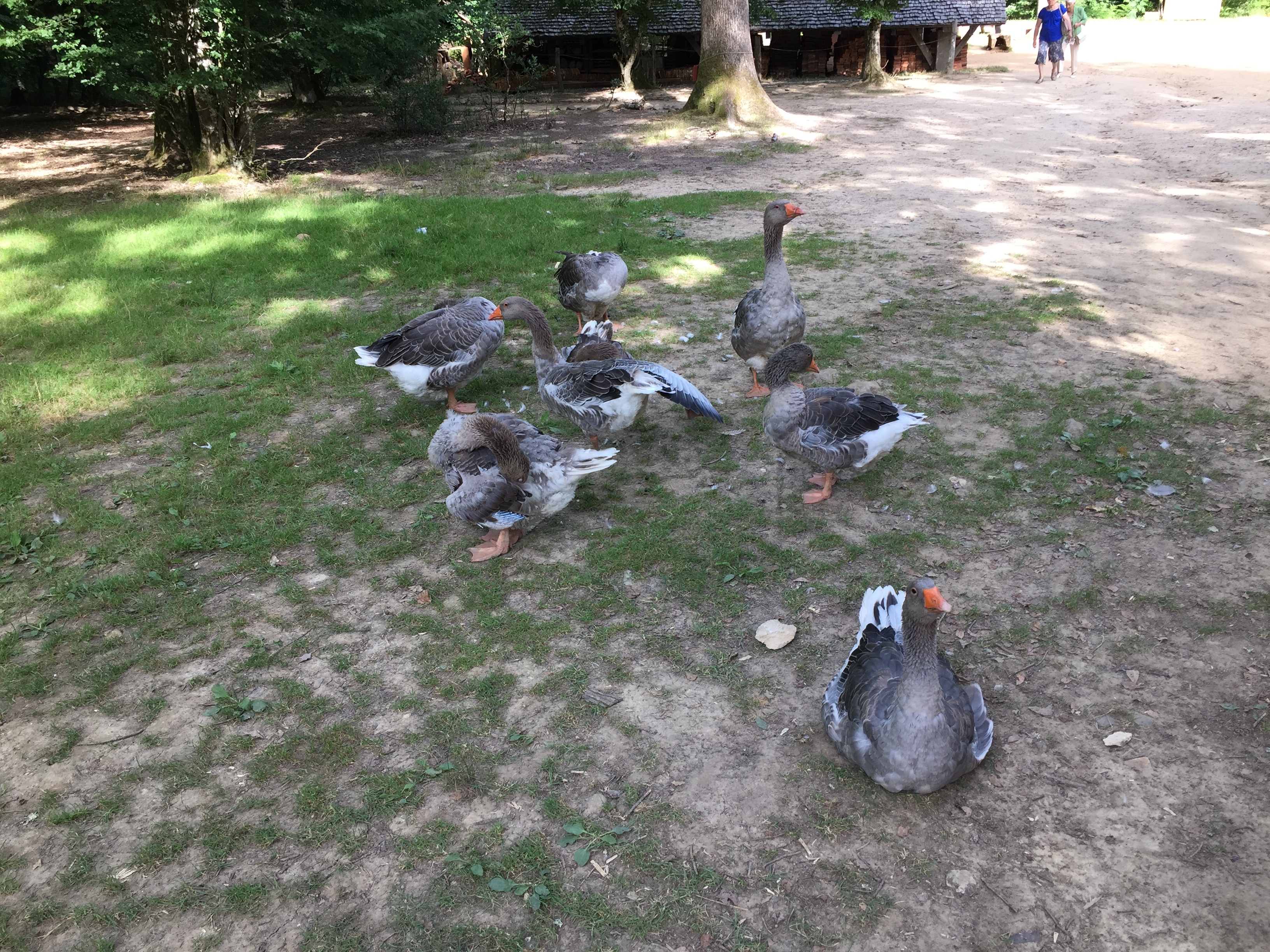 Picture France Guedelon 2017-07 5 - Tour Guedelon