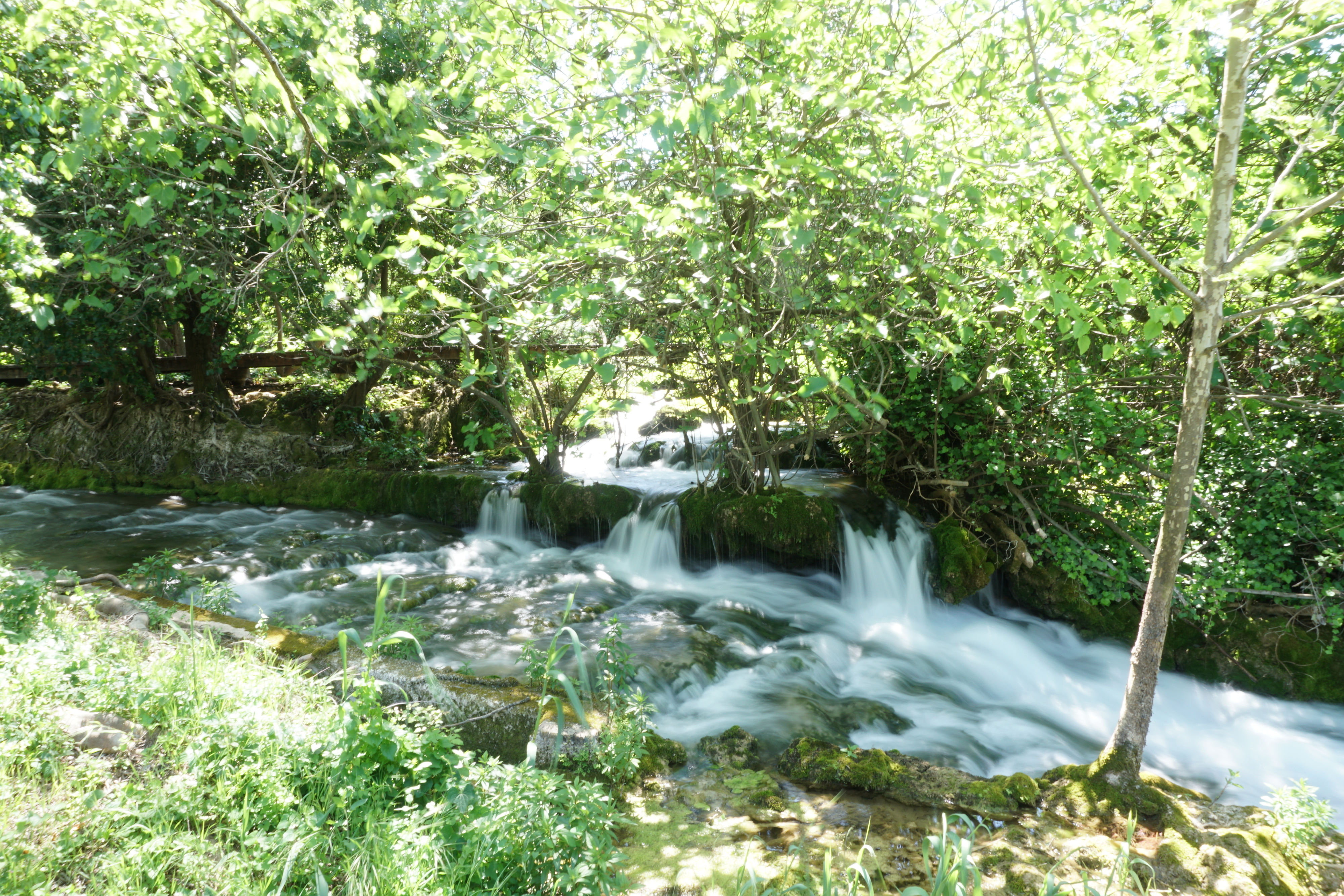 Picture Croatia Krka National Park 2016-04 47 - Center Krka National Park