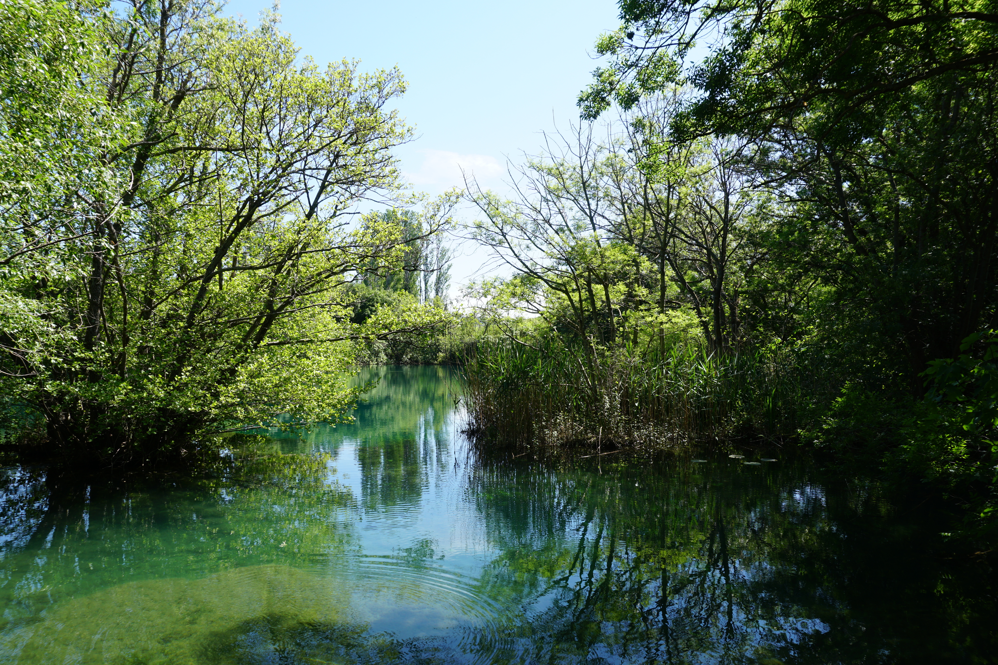 Picture Croatia Krka National Park 2016-04 44 - Journey Krka National Park