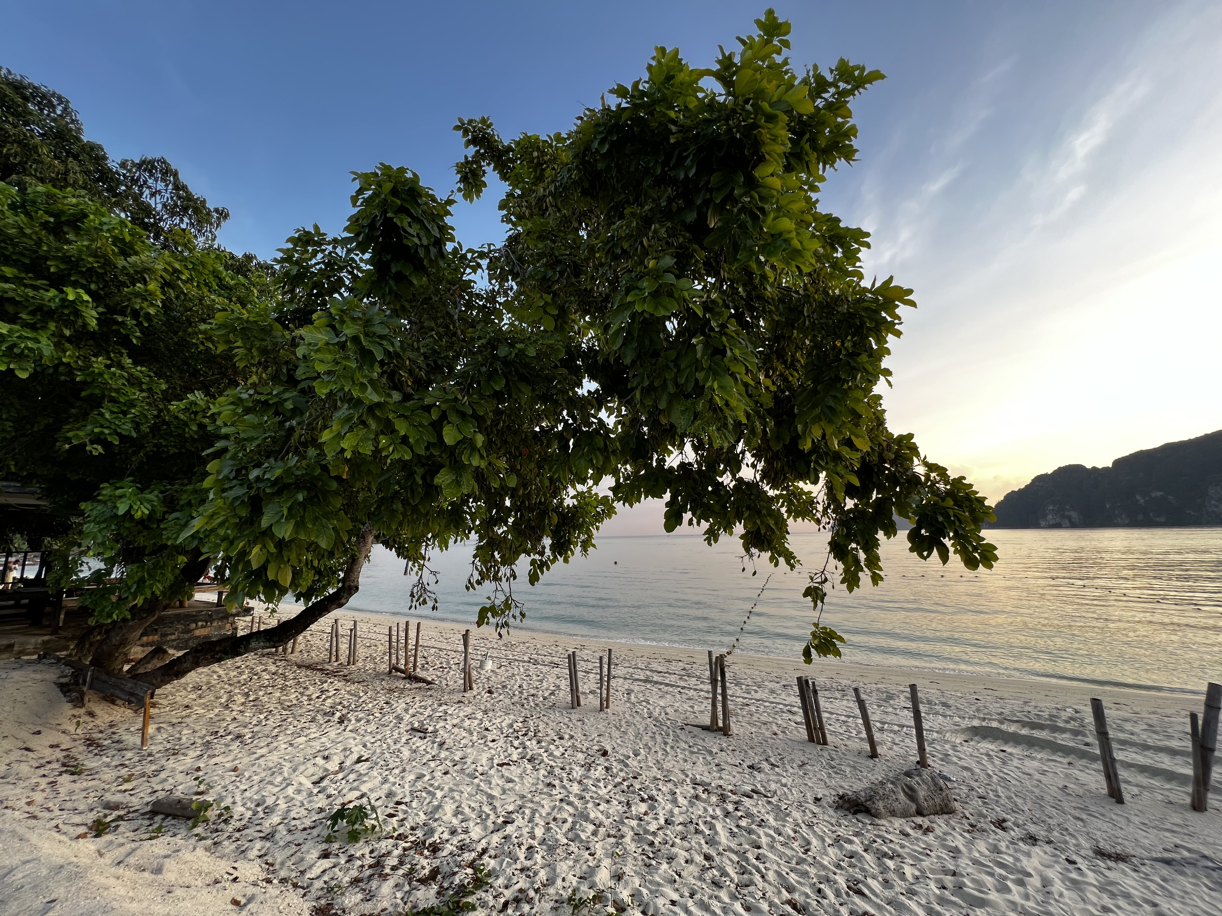 Picture Thailand Ko Phi Phi Don 2021-12 193 - Tour Ko Phi Phi Don